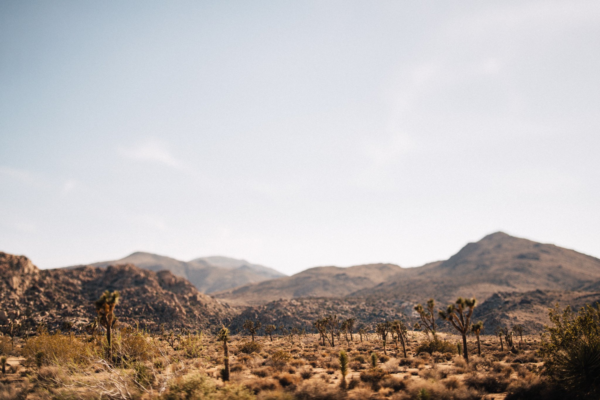 ©The Ryans Photography - Los Angeles Travel - Joshua Tree National Park-007.jpg