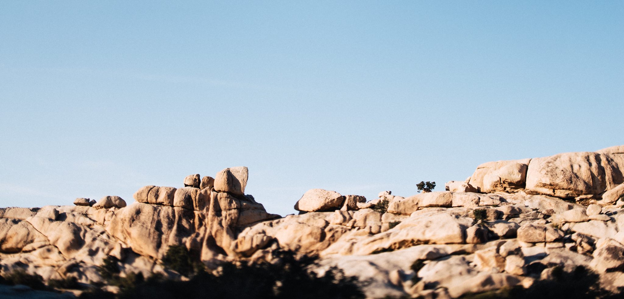 ©The Ryans Photography - Los Angeles Travel - Joshua Tree National Park-010.jpg