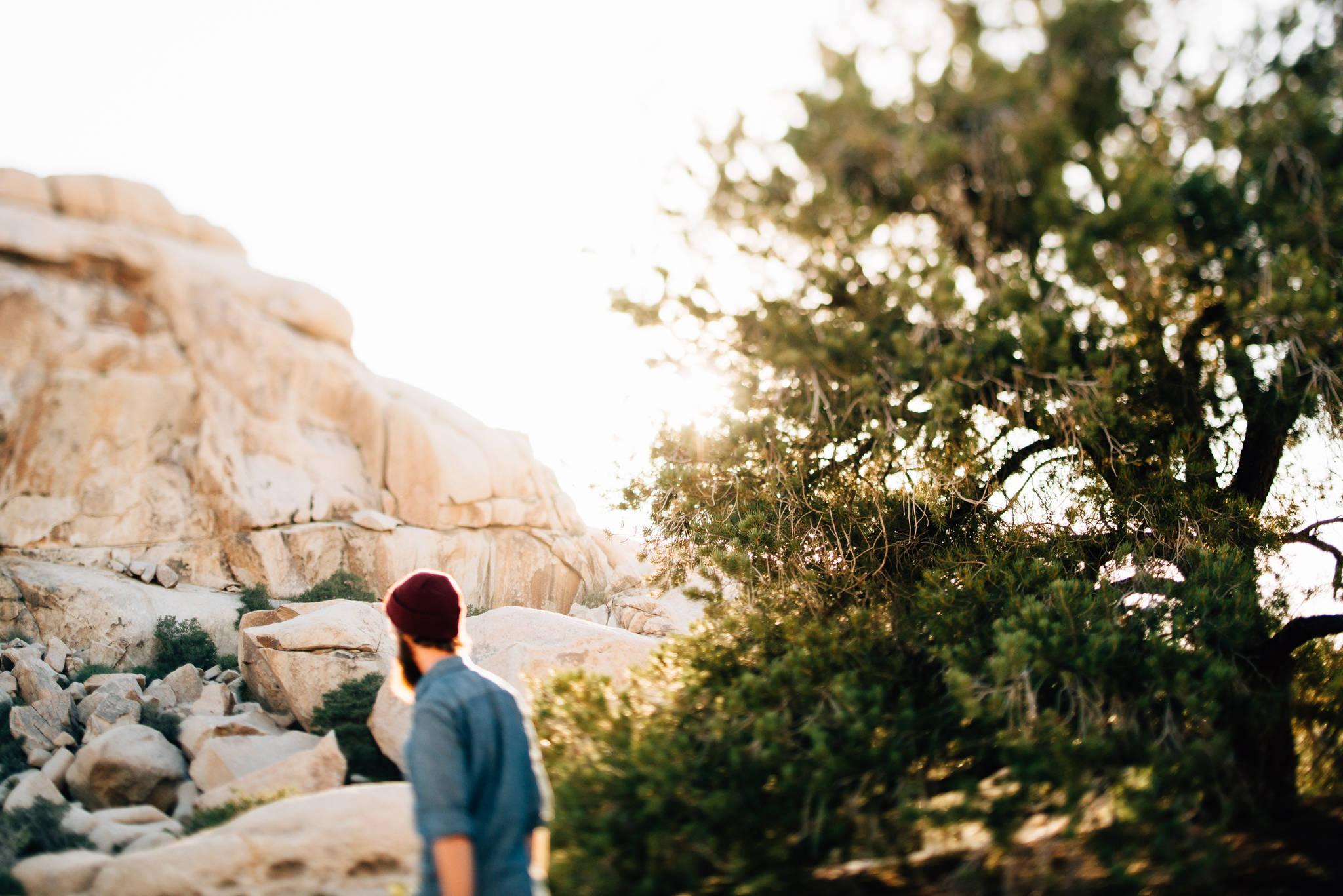 ©The Ryans Photography - Los Angeles Travel - Joshua Tree National Park-011-2.jpg