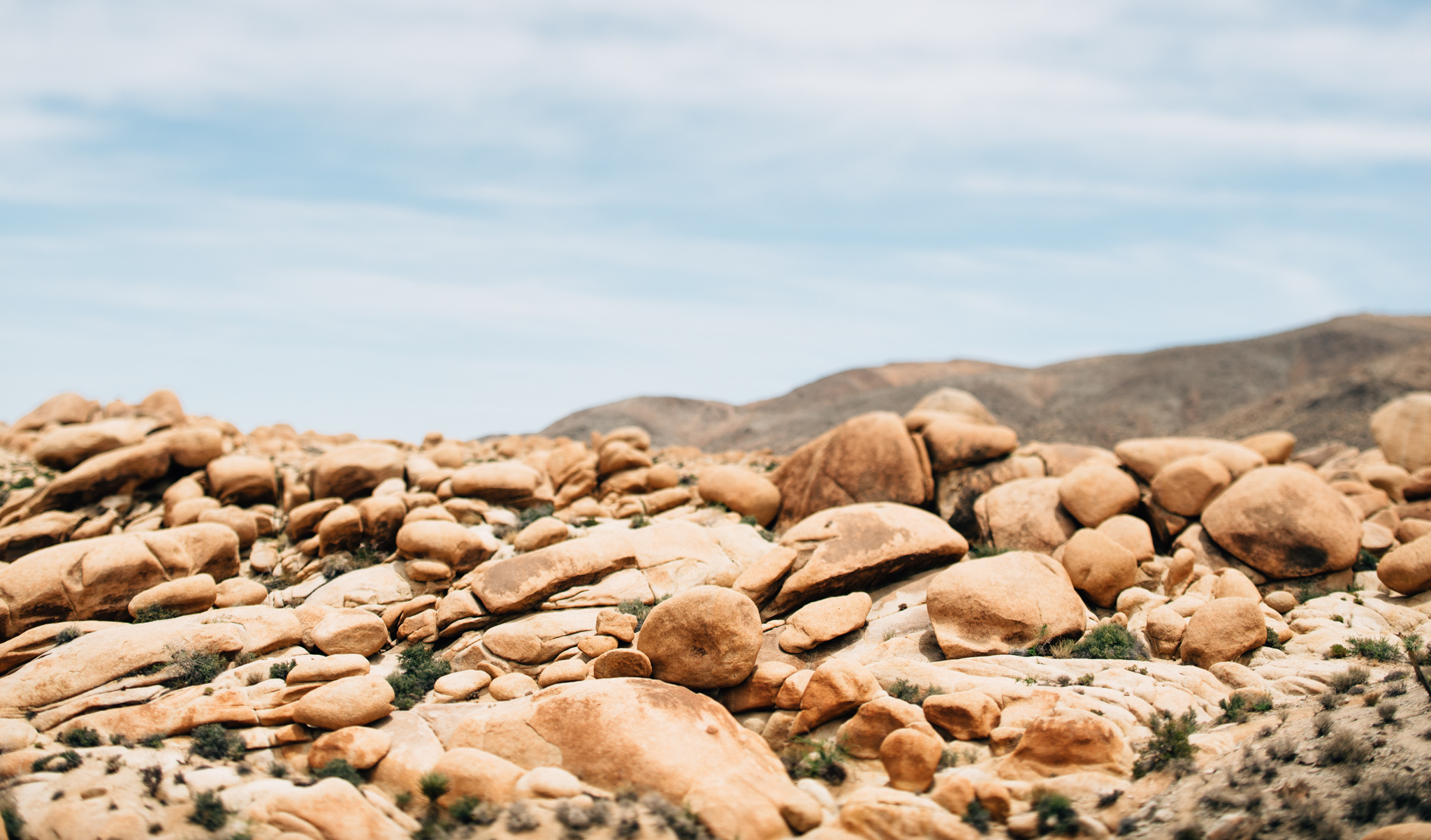 ©The Ryans Photography - Los Angeles Travel - Joshua Tree National Park-012.jpg