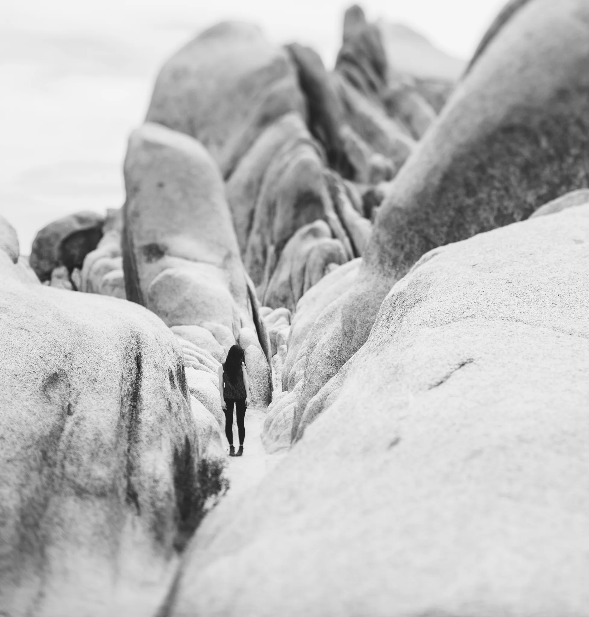 ©The Ryans Photography - Los Angeles Travel - Joshua Tree National Park-024.jpg