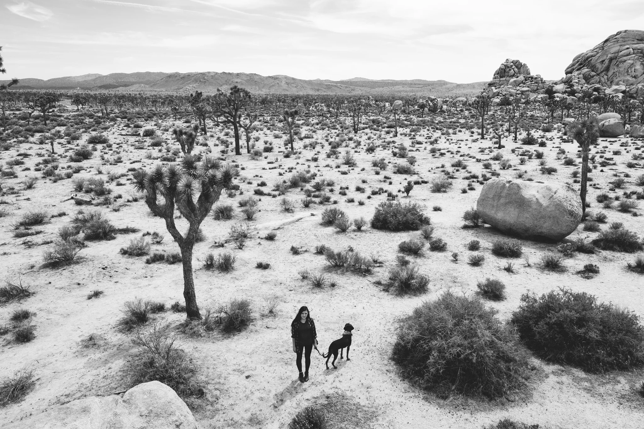 ©The Ryans Photography - Los Angeles Travel - Joshua Tree National Park-026.jpg