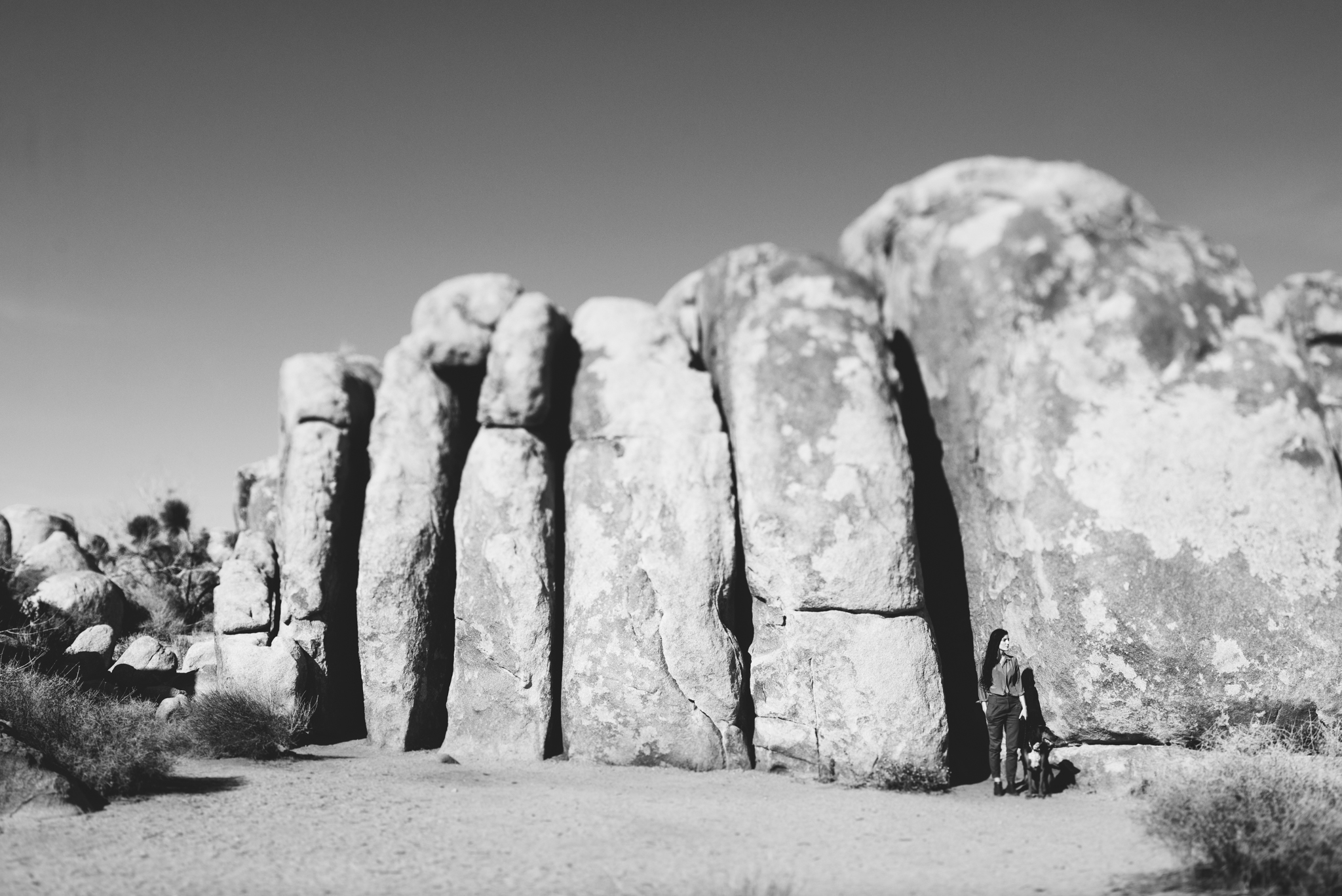 ©The Ryans Photography - Los Angeles Travel - Joshua Tree National Park-027.jpg