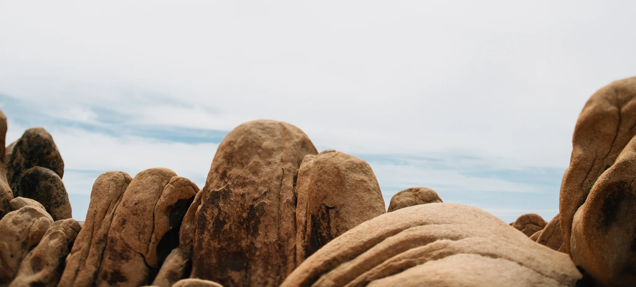 ©The Ryans Photography - Los Angeles Travel - Joshua Tree National Park-029-2.jpg