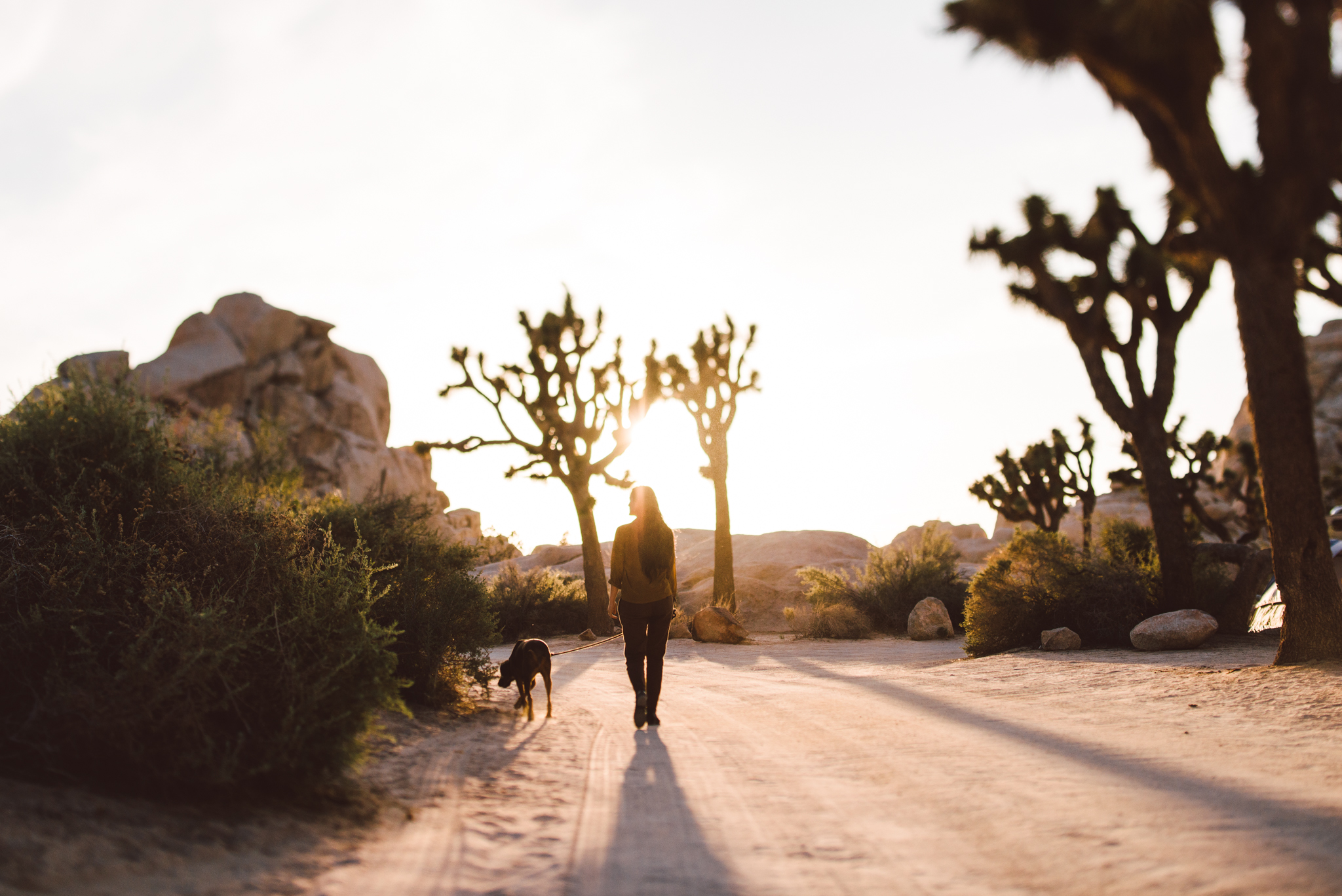 ©The Ryans Photography - Los Angeles Travel - Joshua Tree National Park-039.jpg