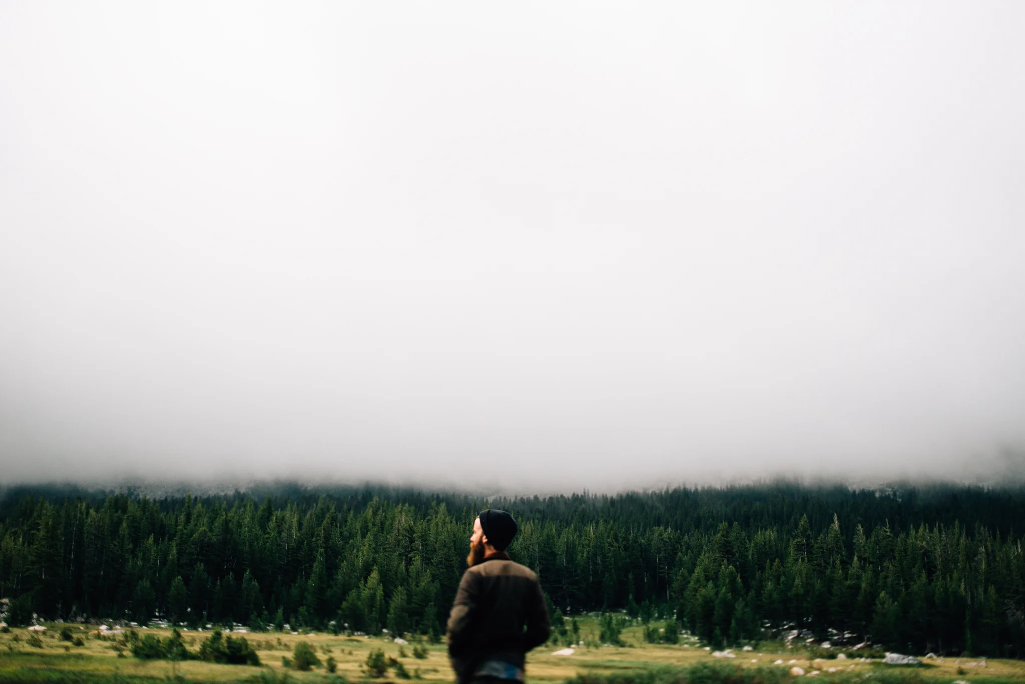 Tuolomne Meadows, Yosemite