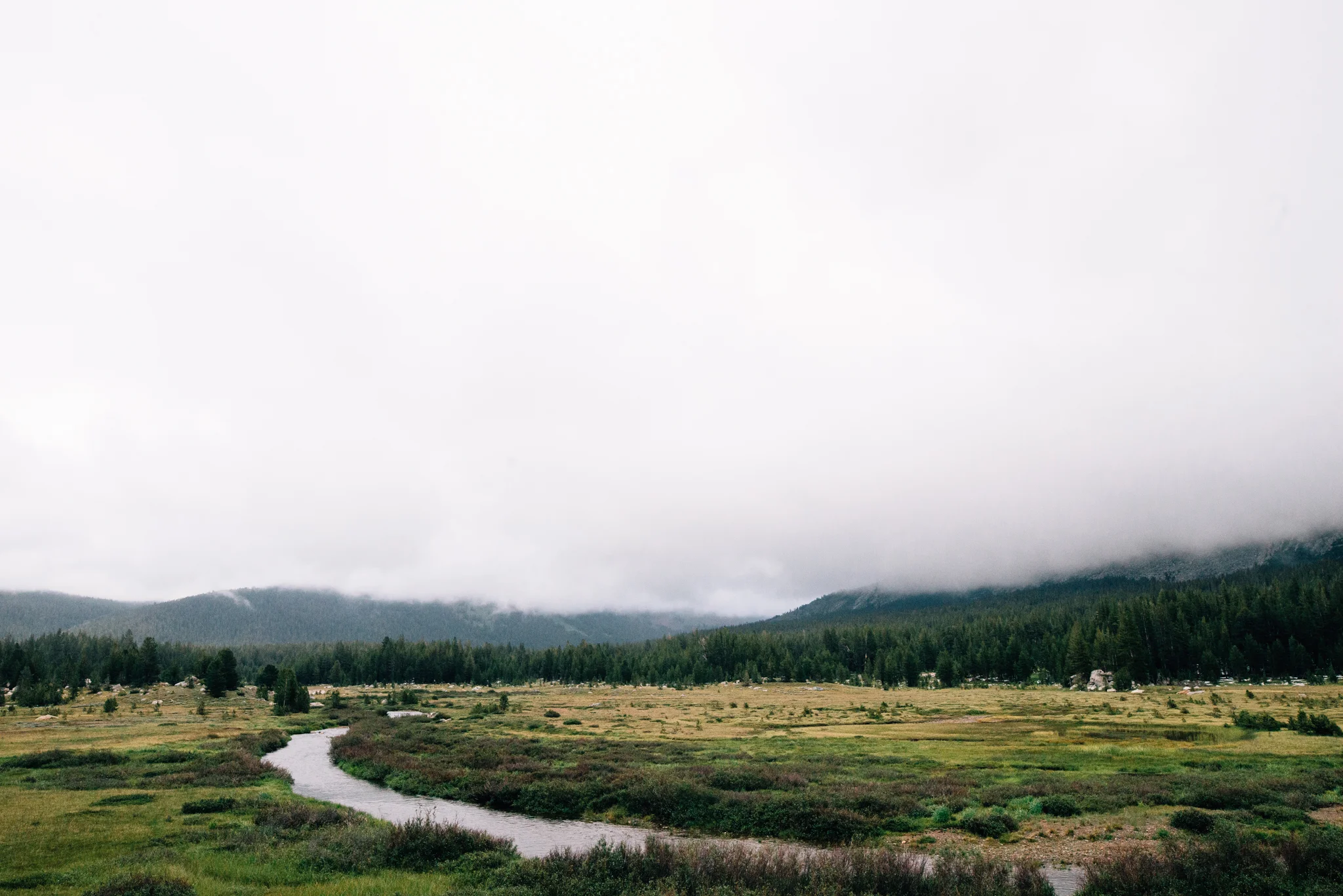 ©The Ryans Photography - Los Angeles Travel - Tuolomne Meadows Yosemite-012.jpg