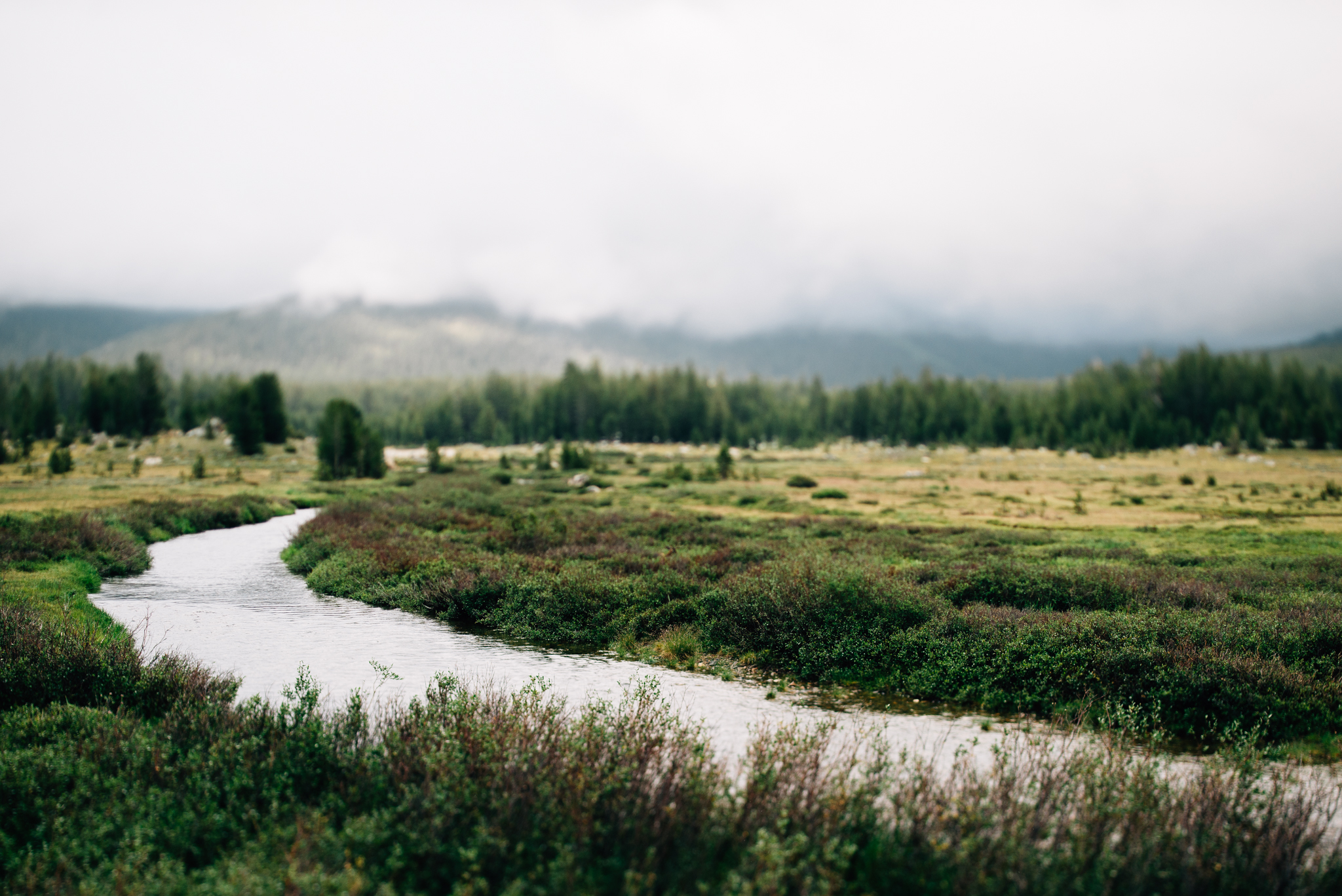 ©The Ryans Photography - Los Angeles Travel - Tuolomne Meadows Yosemite-013.jpg