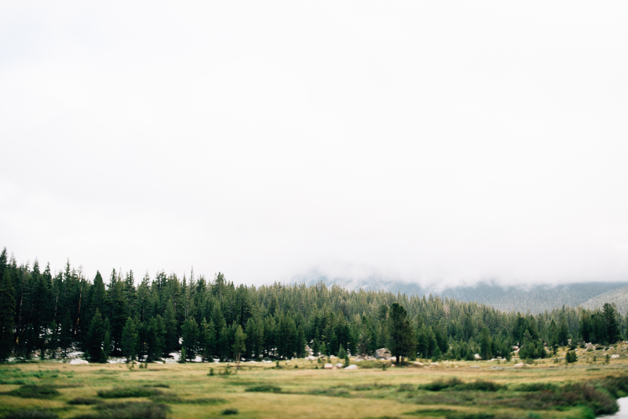 ©The Ryans Photography - Los Angeles Travel - Tuolomne Meadows Yosemite-014.jpg