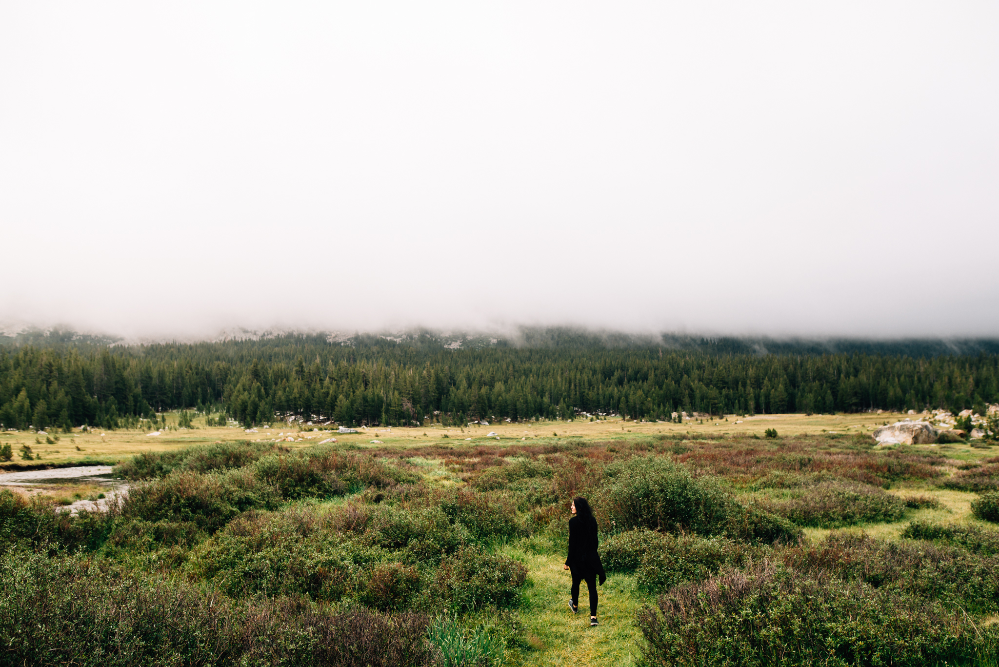 ©The Ryans Photography - Los Angeles Travel - Tuolomne Meadows Yosemite-016.jpg