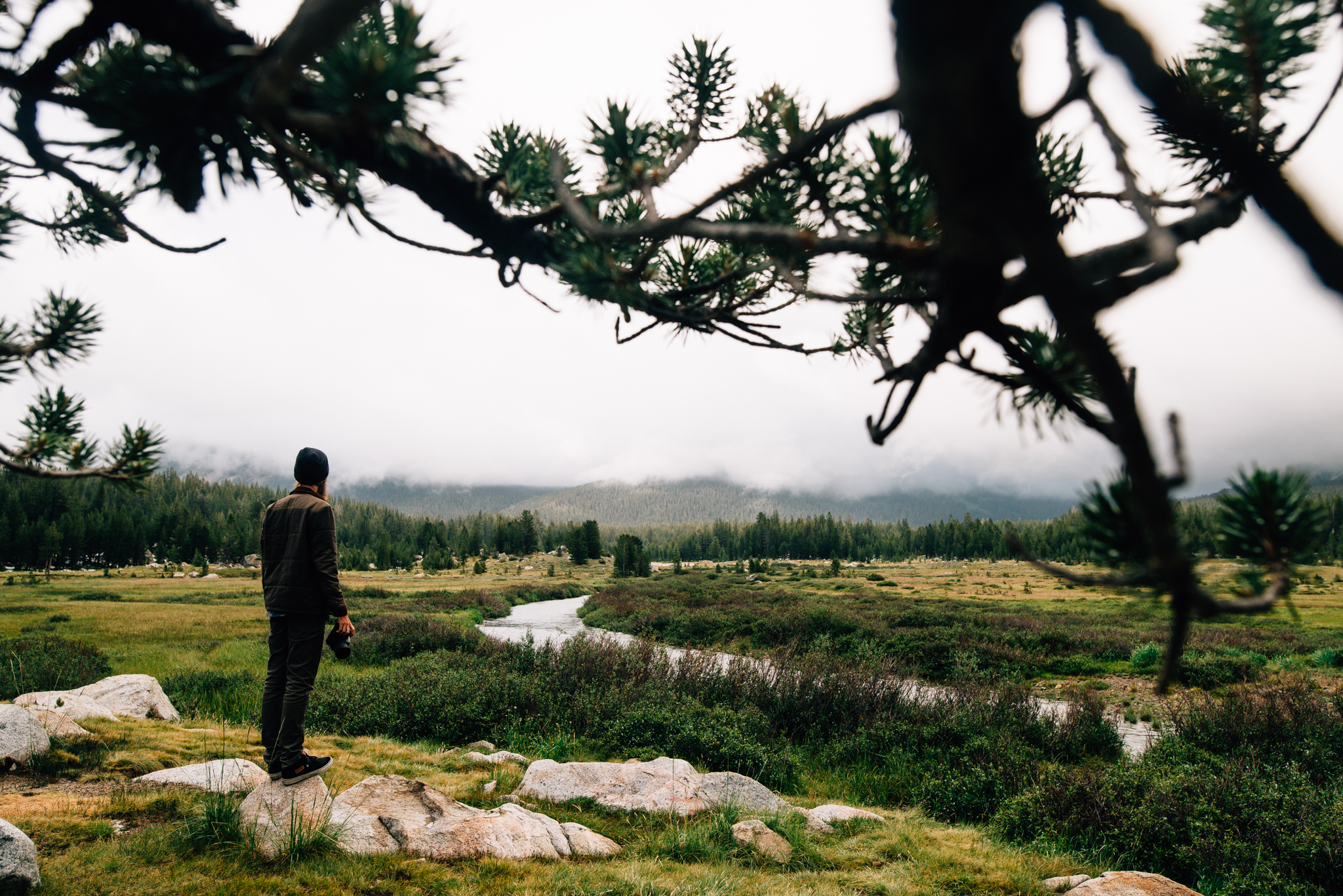 ©The Ryans Photography - Los Angeles Travel - Tuolomne Meadows Yosemite-017.jpg