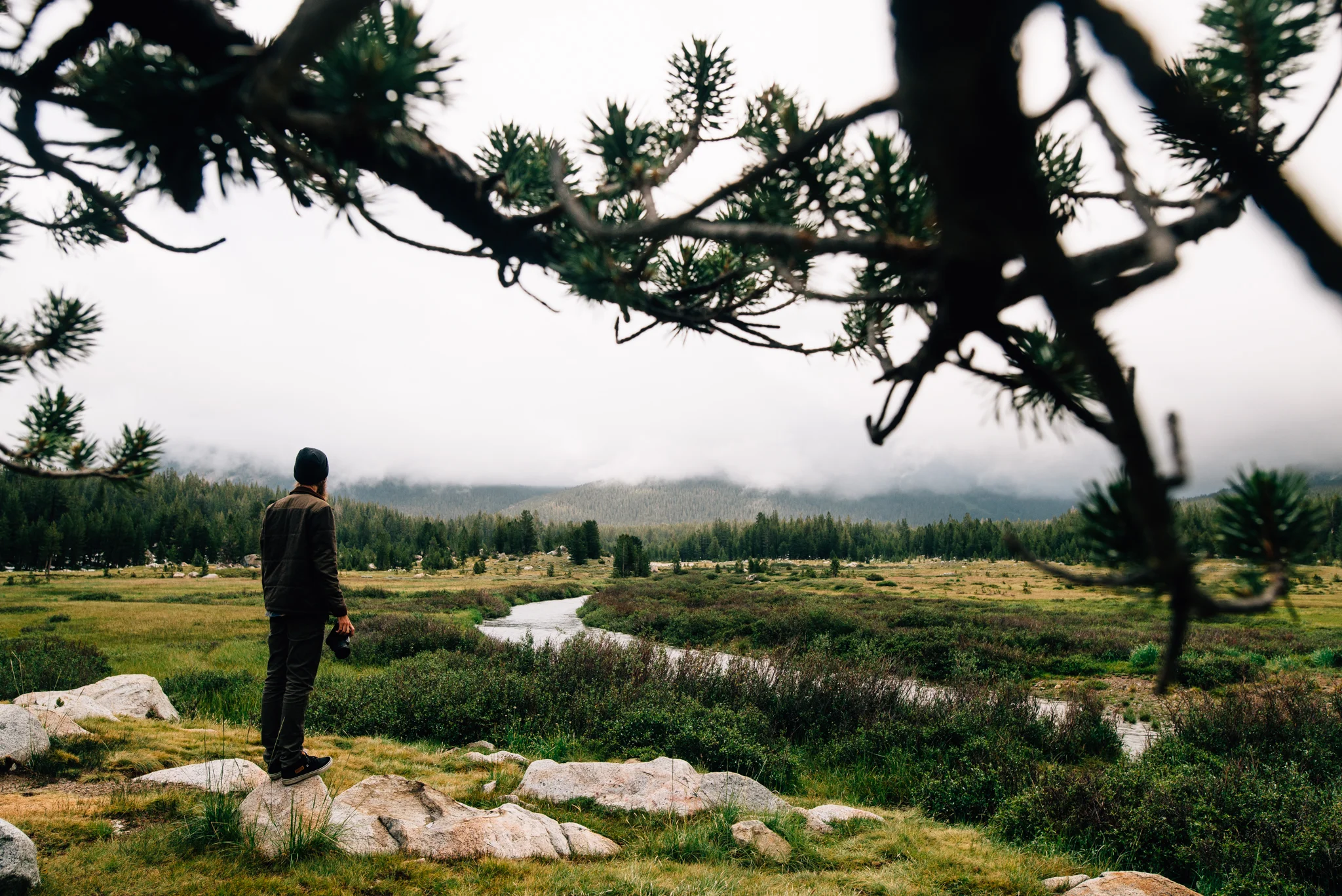 ©The Ryans Photography - Los Angeles Travel - Tuolomne Meadows Yosemite-017.jpg