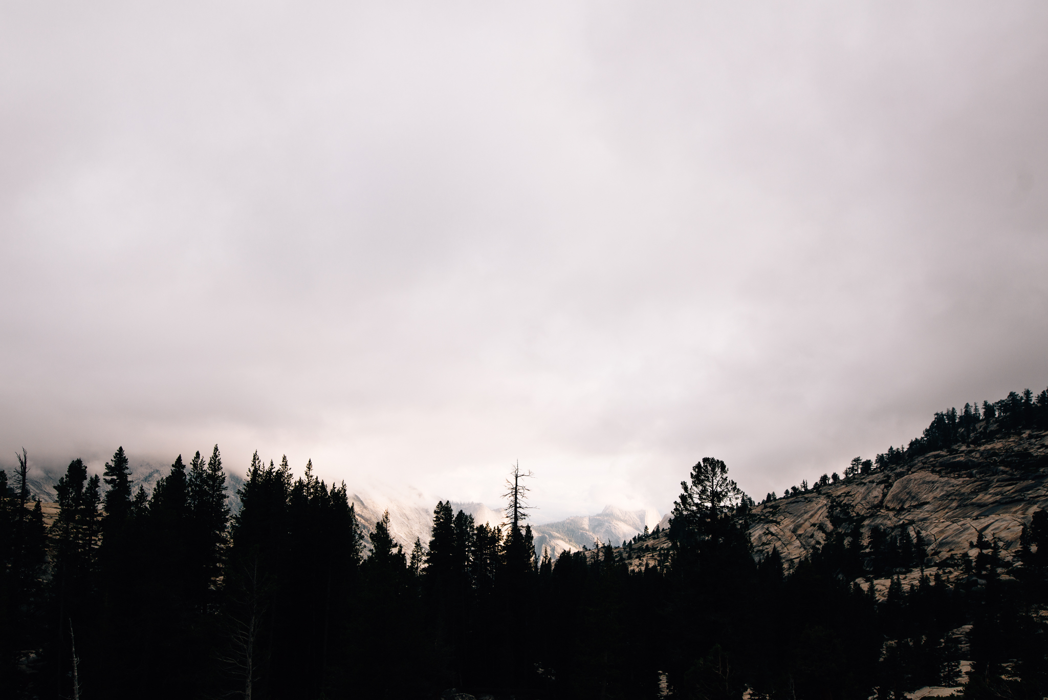 ©The Ryans Photography - Los Angeles Travel - Tuolomne Meadows Yosemite-024.jpg