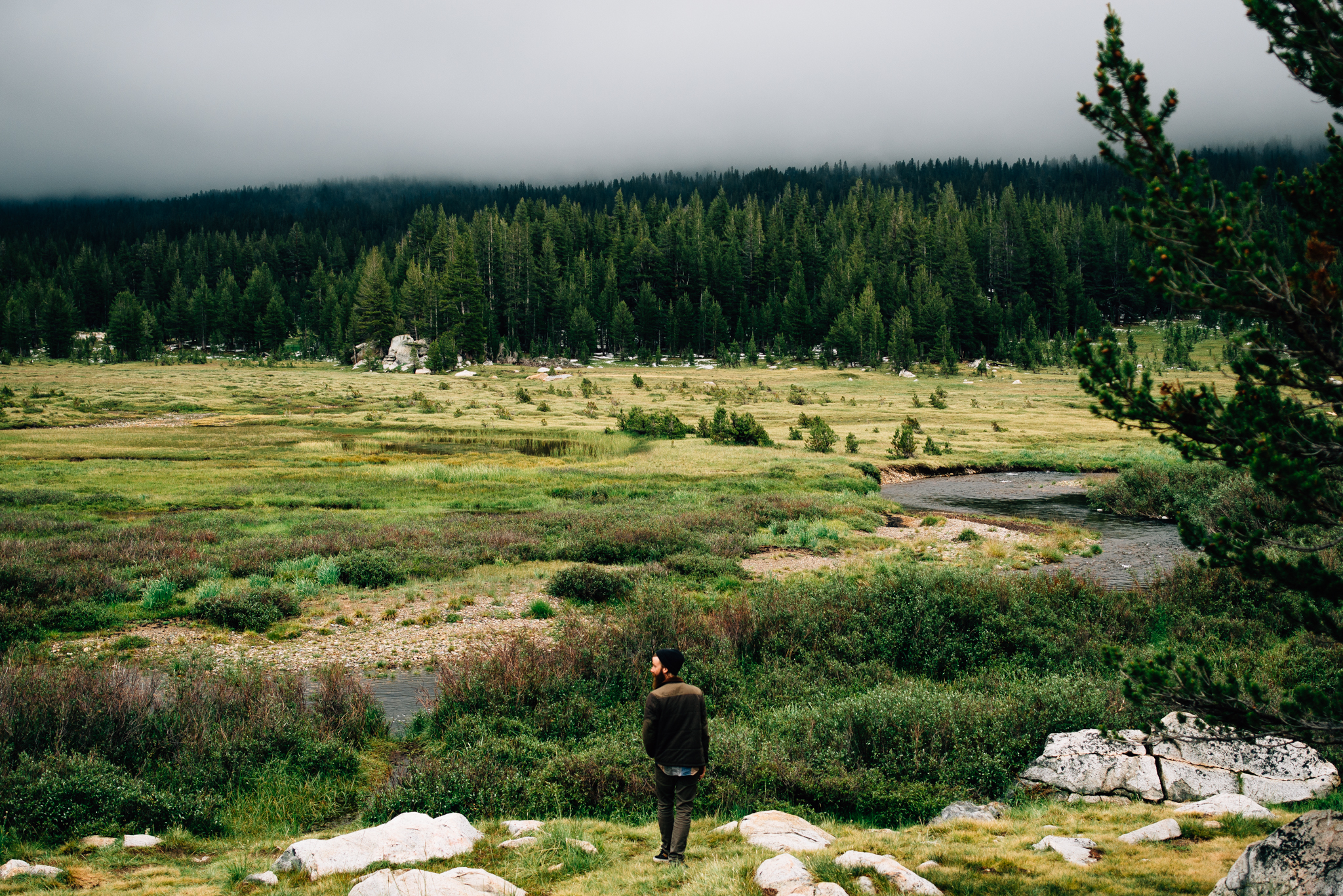 ©The Ryans Photography - Los Angeles Travel - Tuolomne Meadows Yosemite-023.jpg