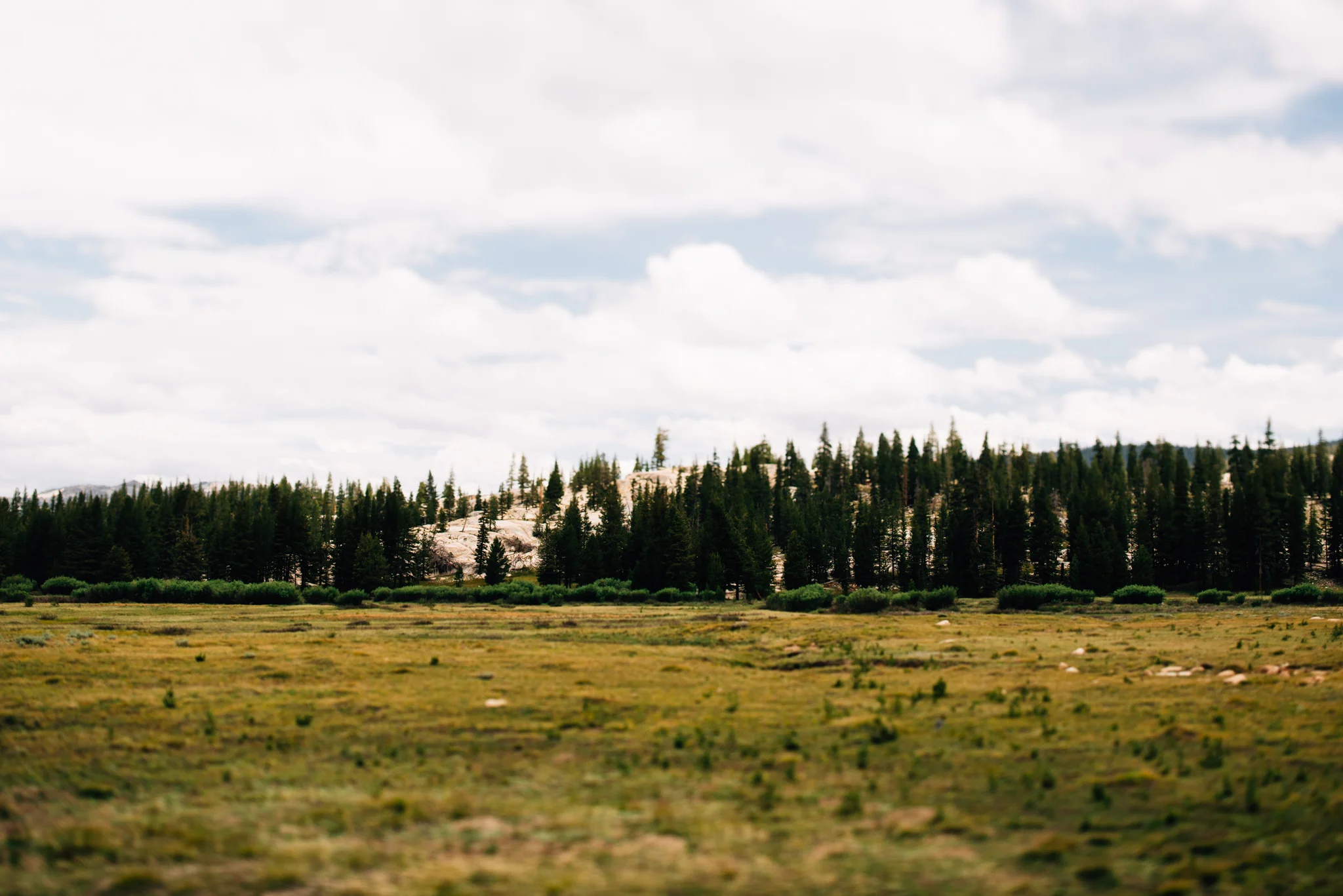©The Ryans Photography - Los Angeles Travel - Tuolomne Meadows Yosemite-025.jpg