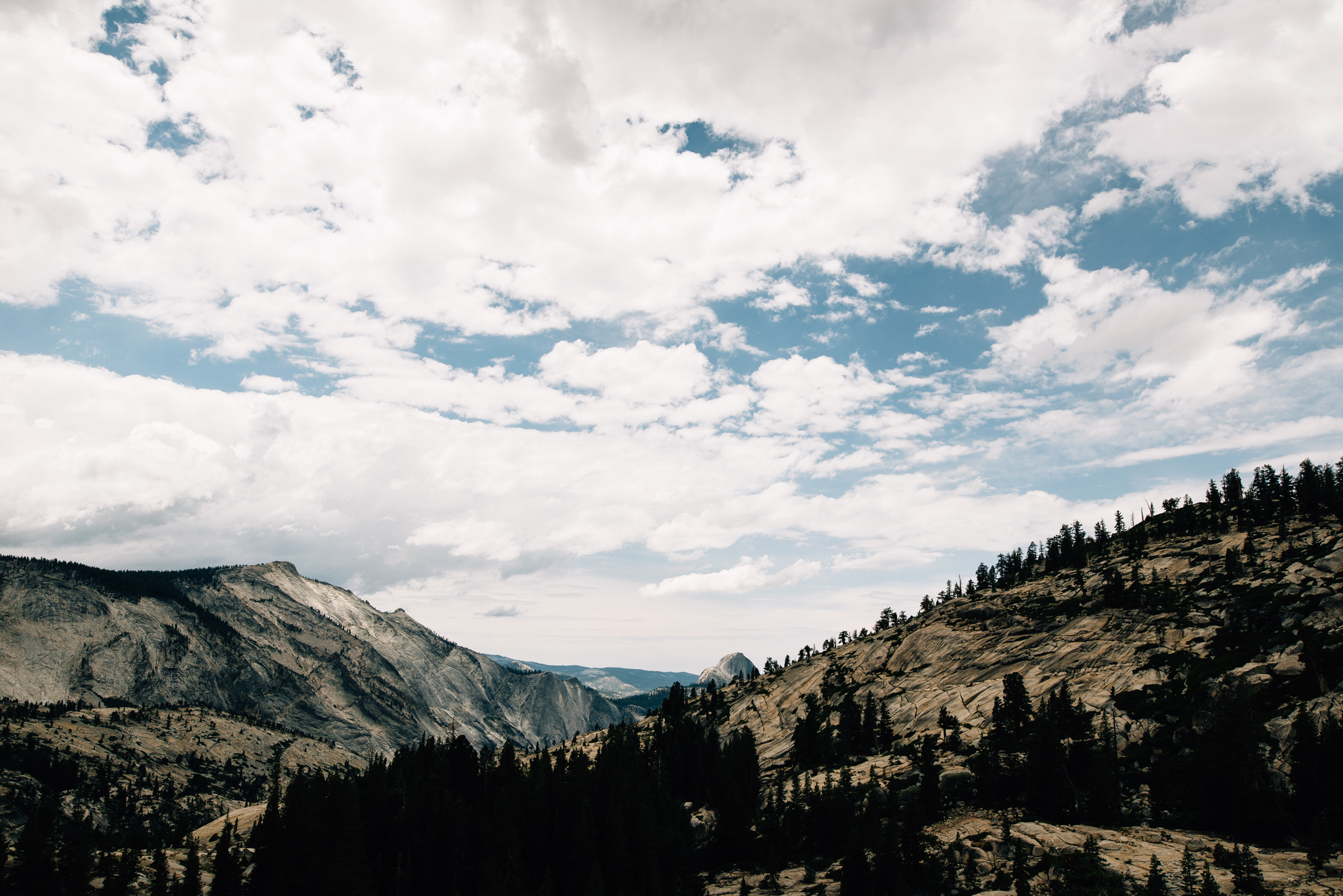 ©The Ryans Photography - Los Angeles Travel - Tuolomne Meadows Yosemite-030.jpg