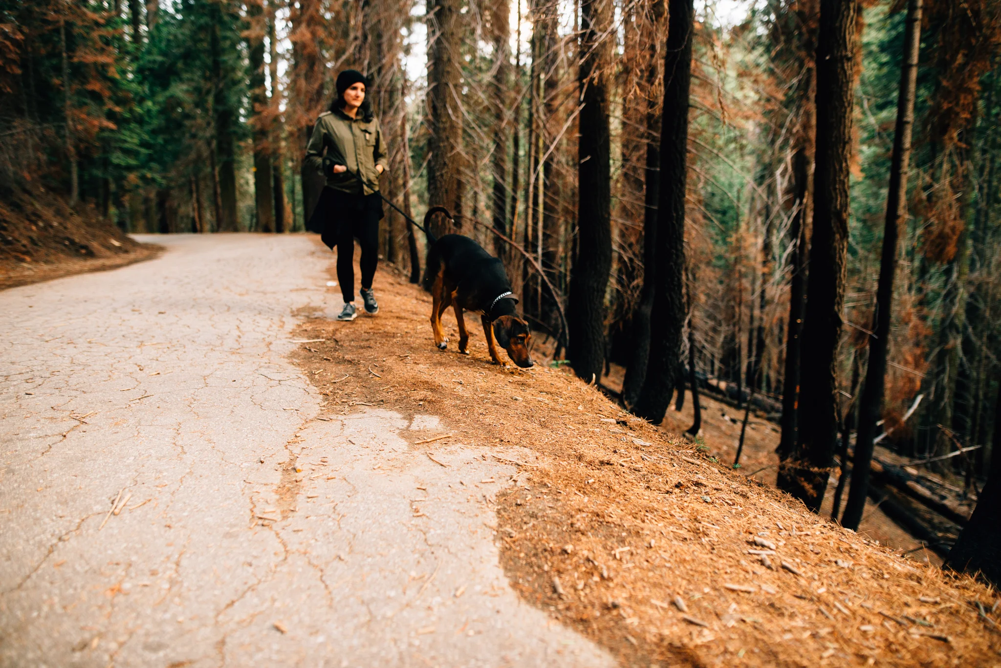 ©The Ryans Photography - Los Angeles Travel - Tuolomne Meadows Yosemite-040.jpg