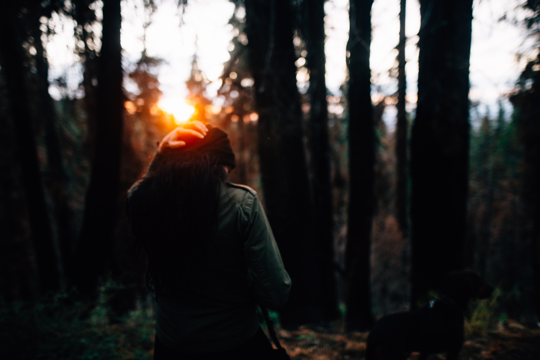 ©The Ryans Photography - Los Angeles Travel - Tuolomne Meadows Yosemite-042.jpg