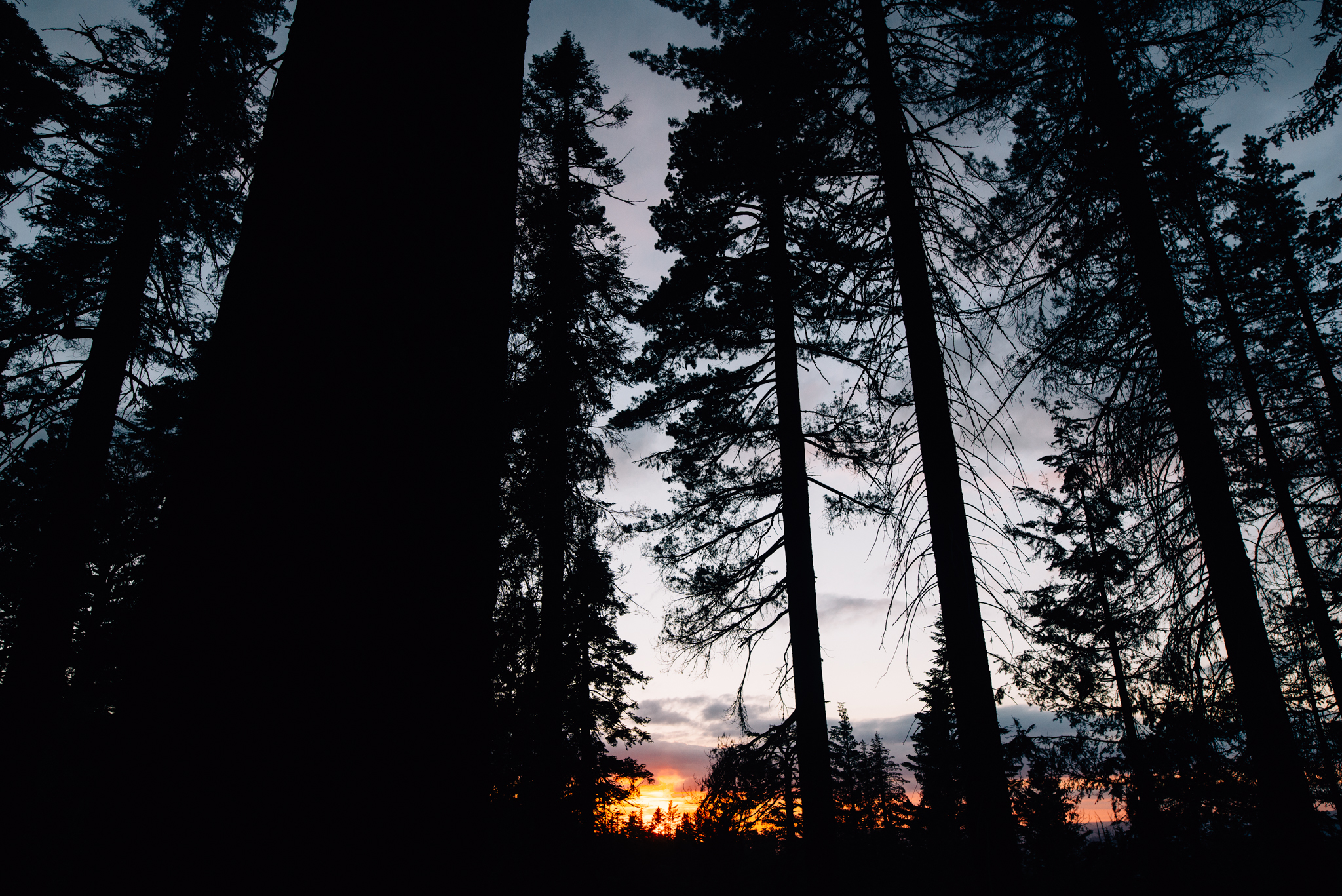 ©The Ryans Photography - Los Angeles Travel - Tuolomne Meadows Yosemite-044.jpg