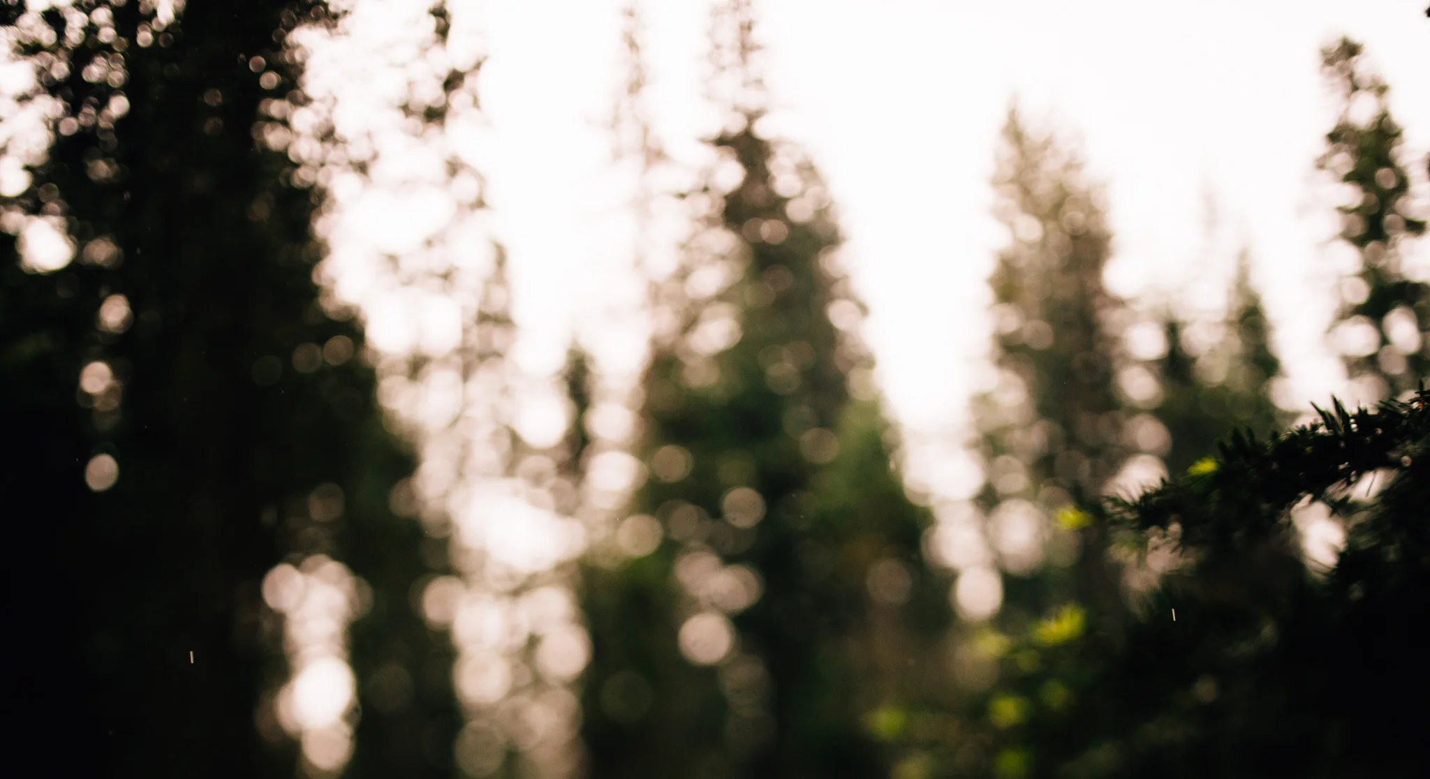 ©The Ryans Photography - Los Angeles Travel - Yosemite-002.jpg