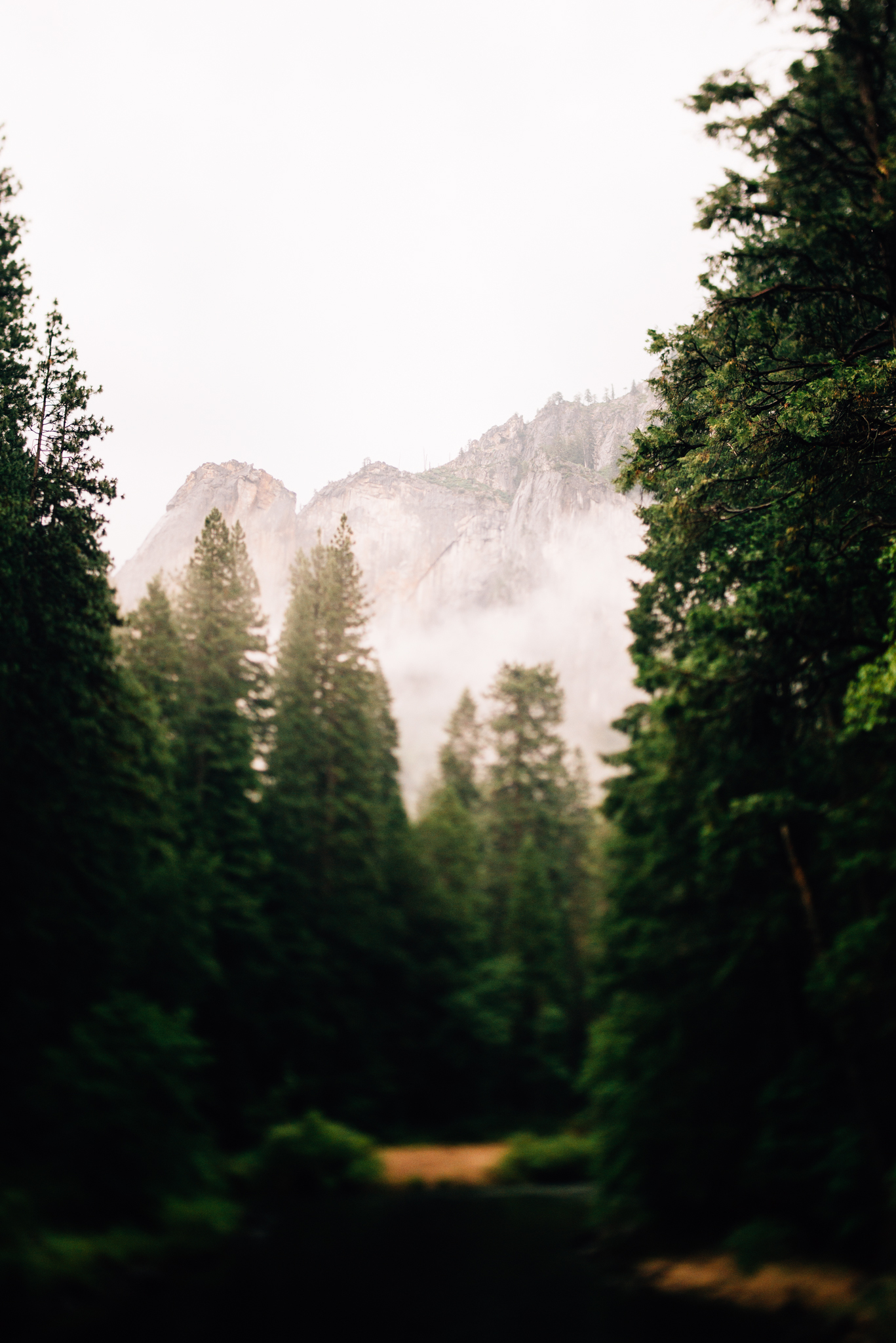 ©The Ryans Photography - Los Angeles Travel - Yosemite-010.jpg