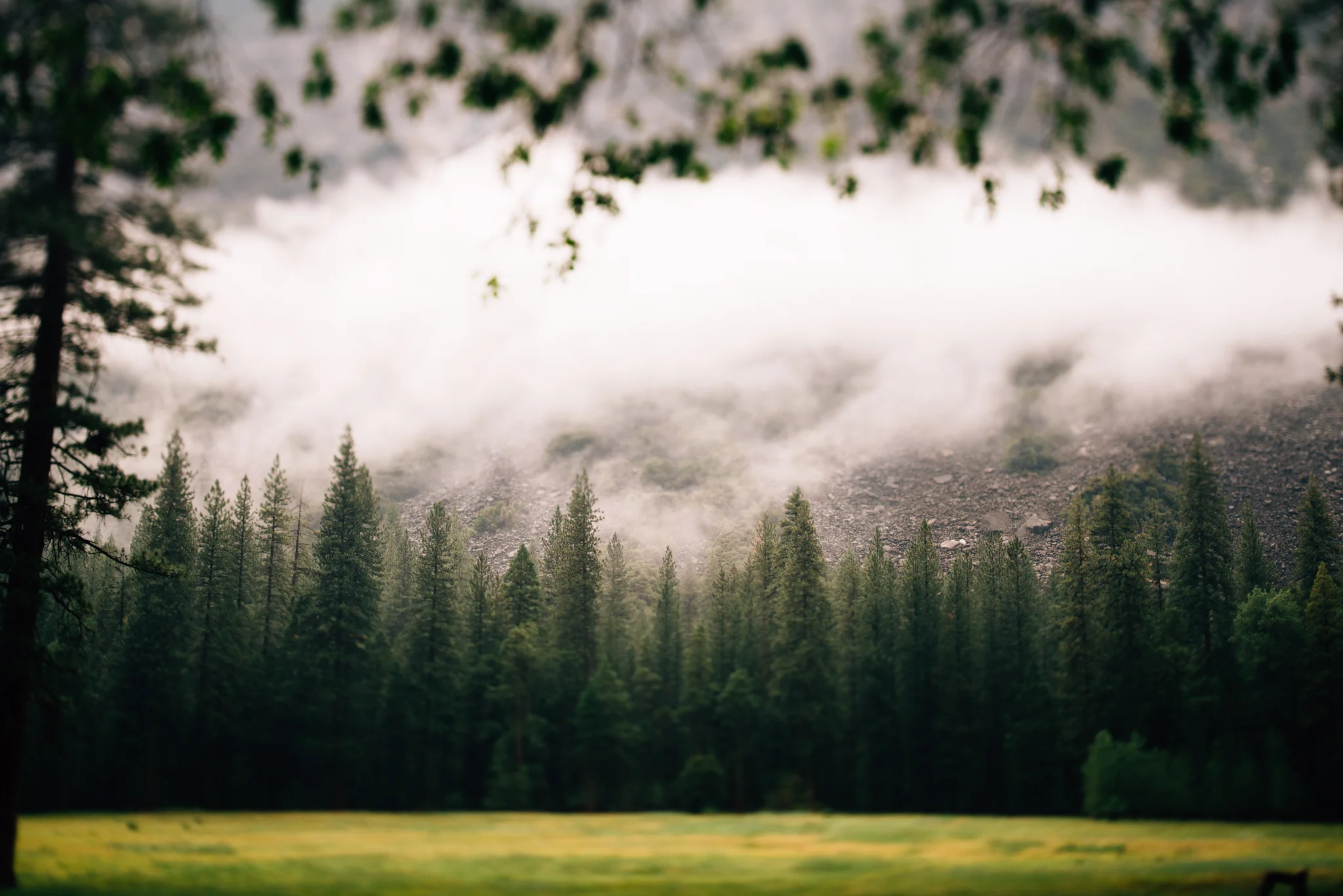 ©The Ryans Photography - Los Angeles Travel - Yosemite-011.jpg
