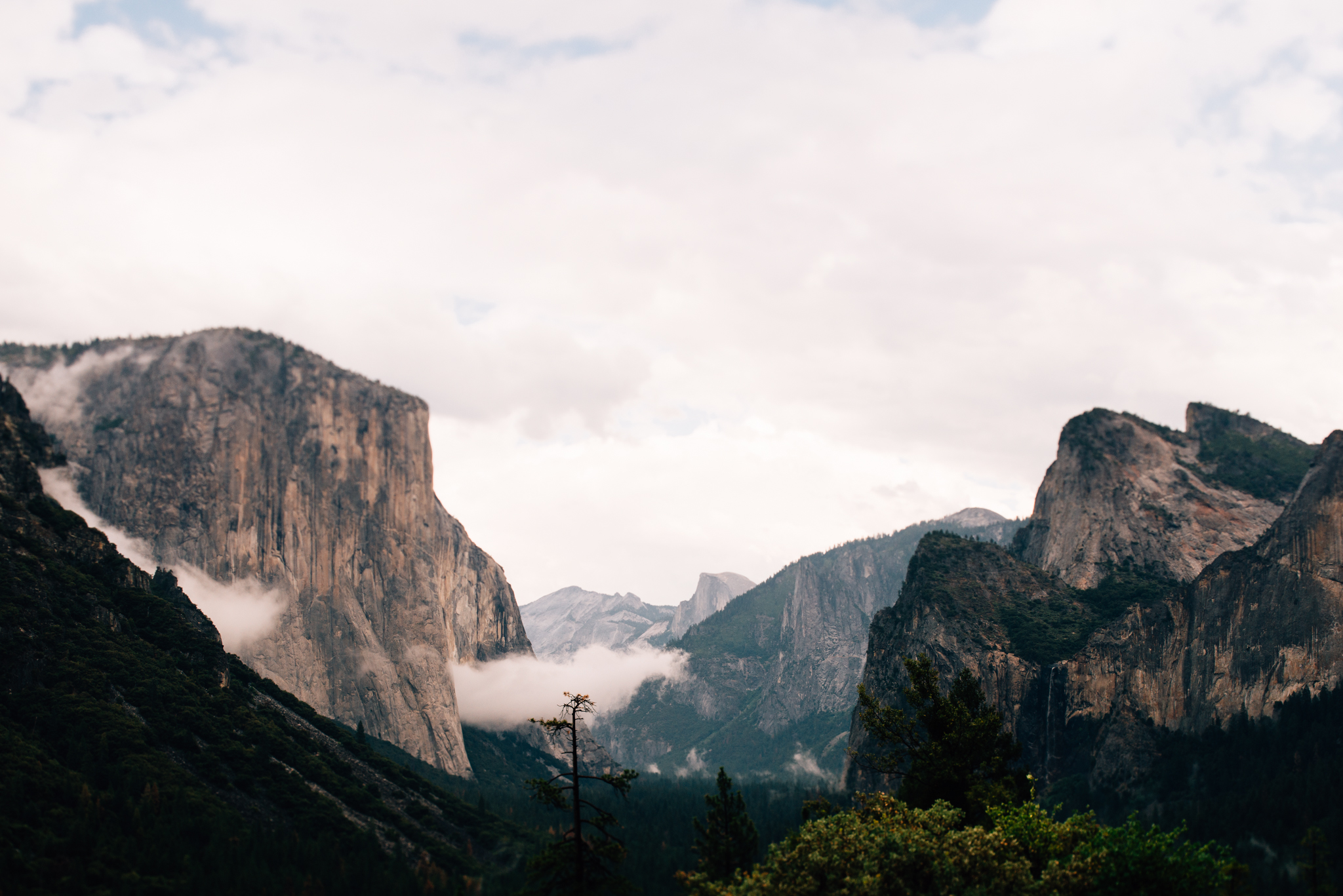 ©The Ryans Photography - Los Angeles Travel - Yosemite-018.jpg