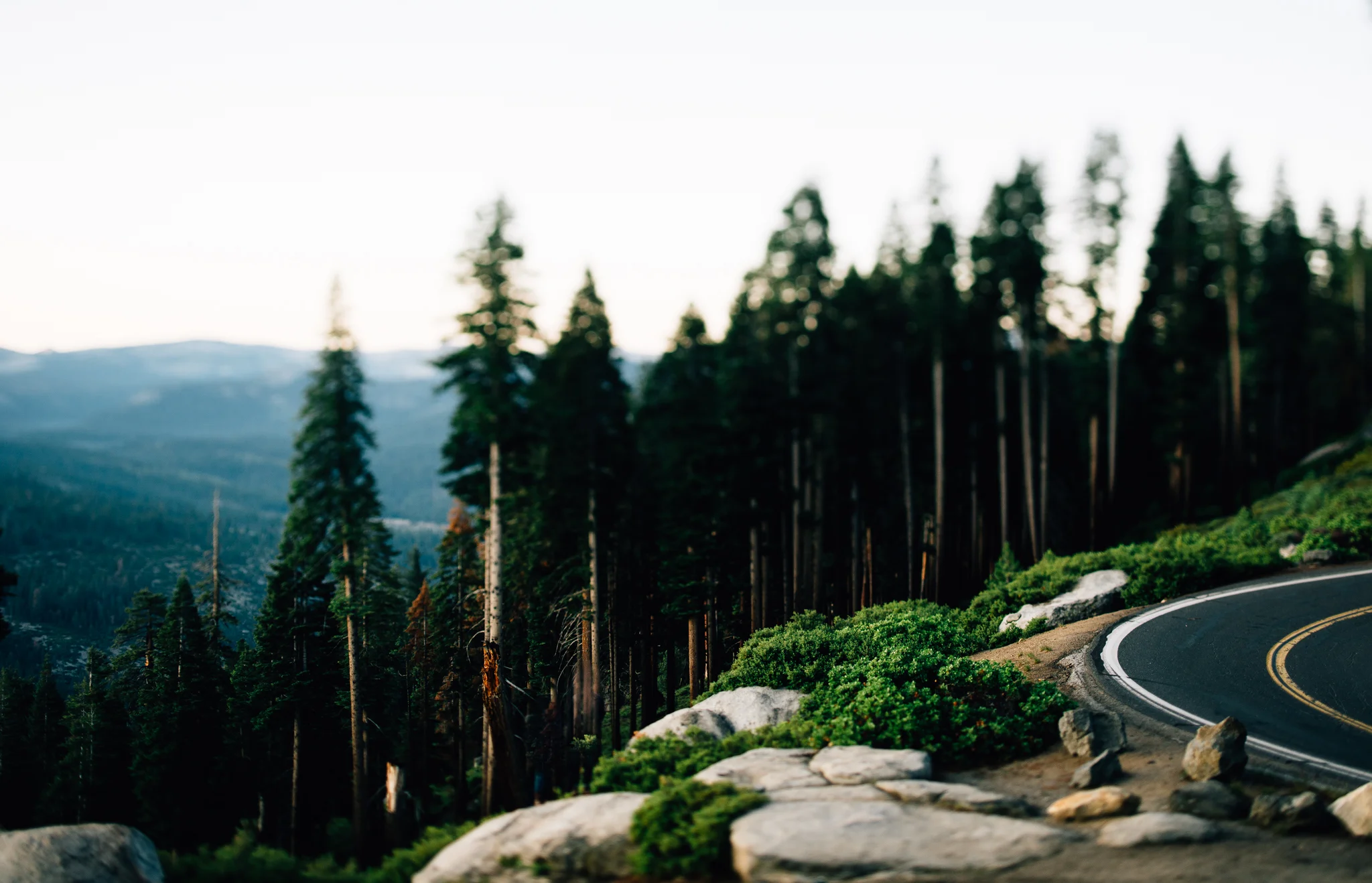 ©The Ryans Photography - Los Angeles Travel - Yosemite-019.jpg