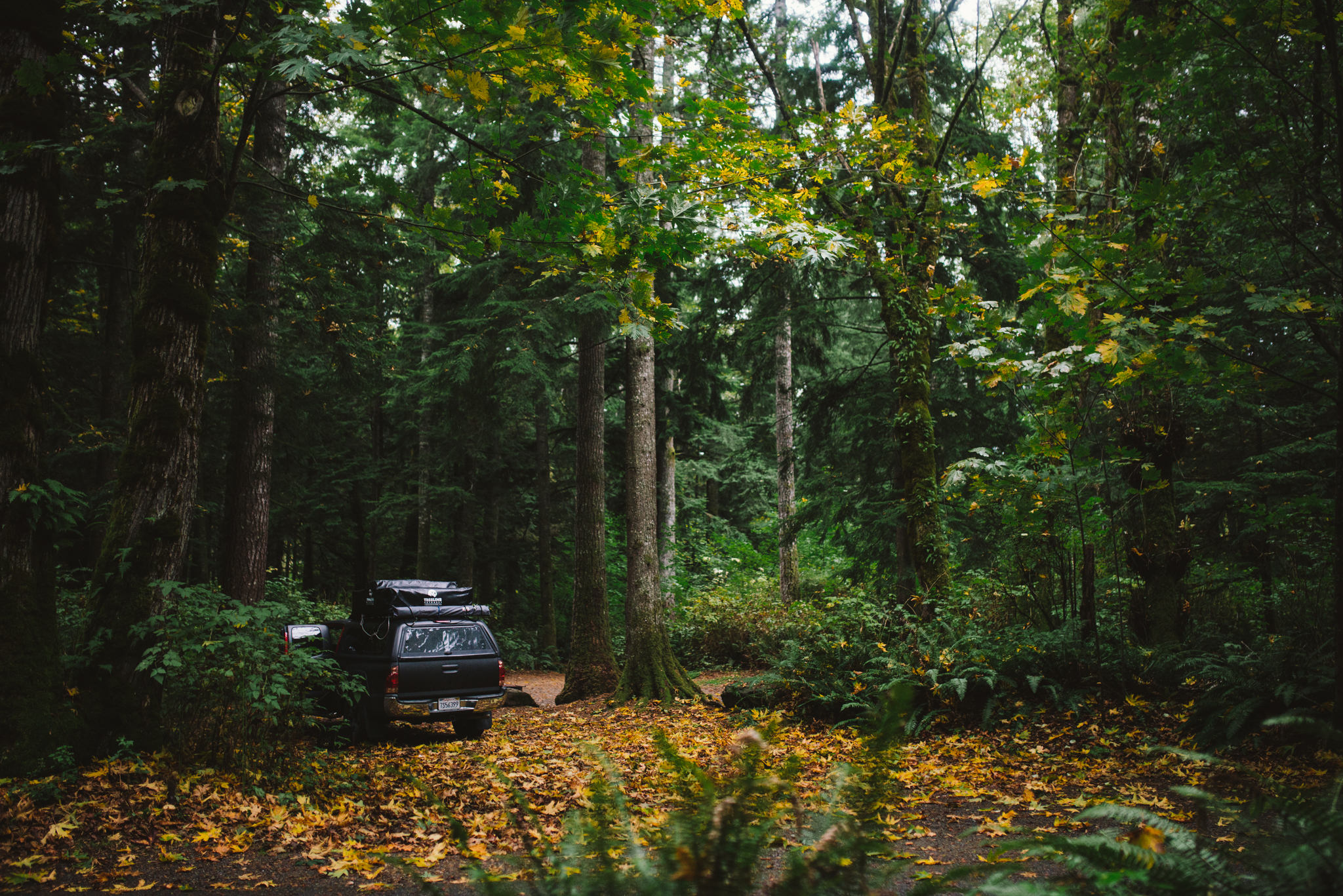 The Ryans Photography - Washington Drizzling Camping Adventure-001.jpg