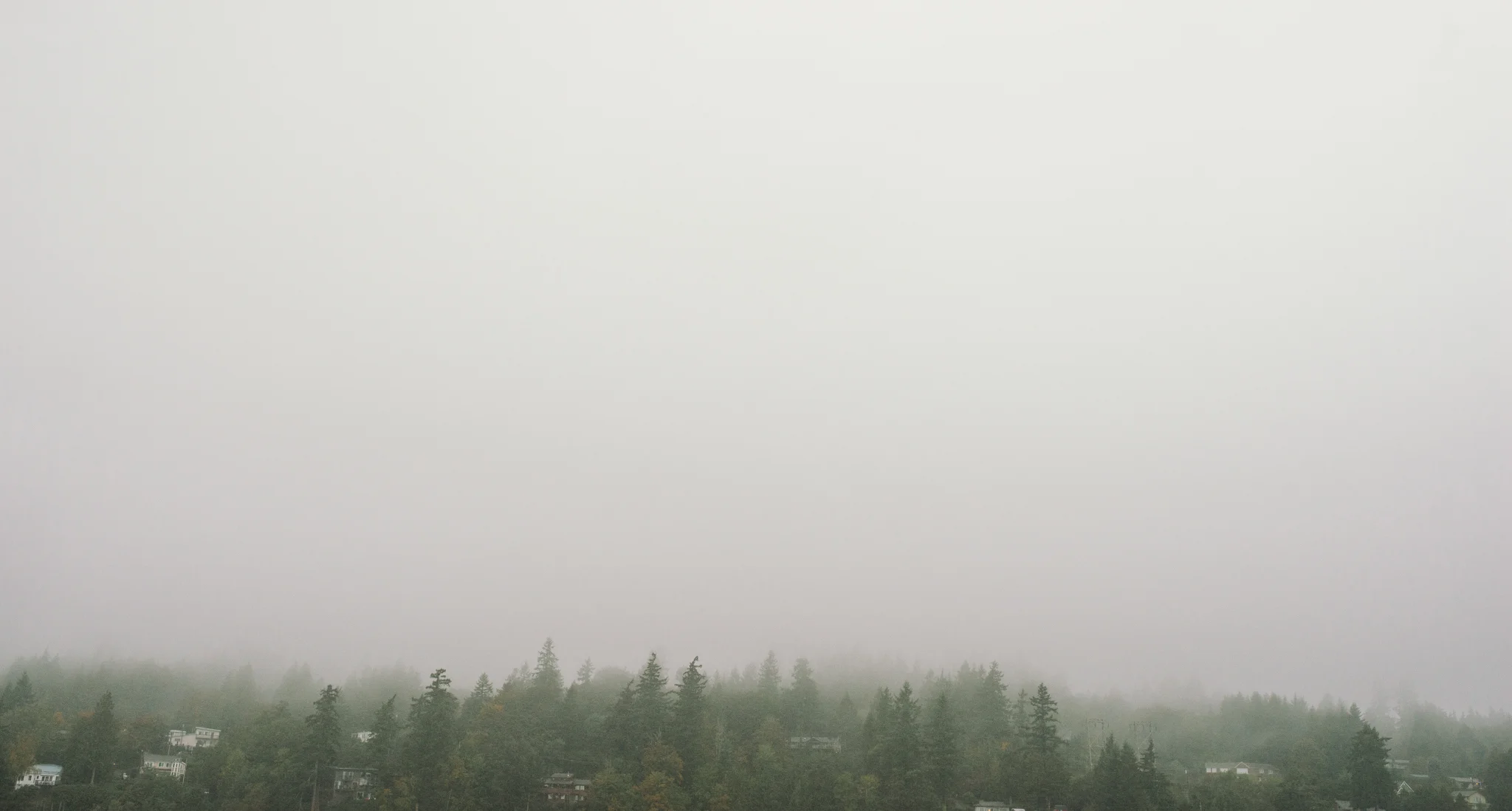 The Ryans Photography - Washington Drizzling Camping Adventure-007.jpg