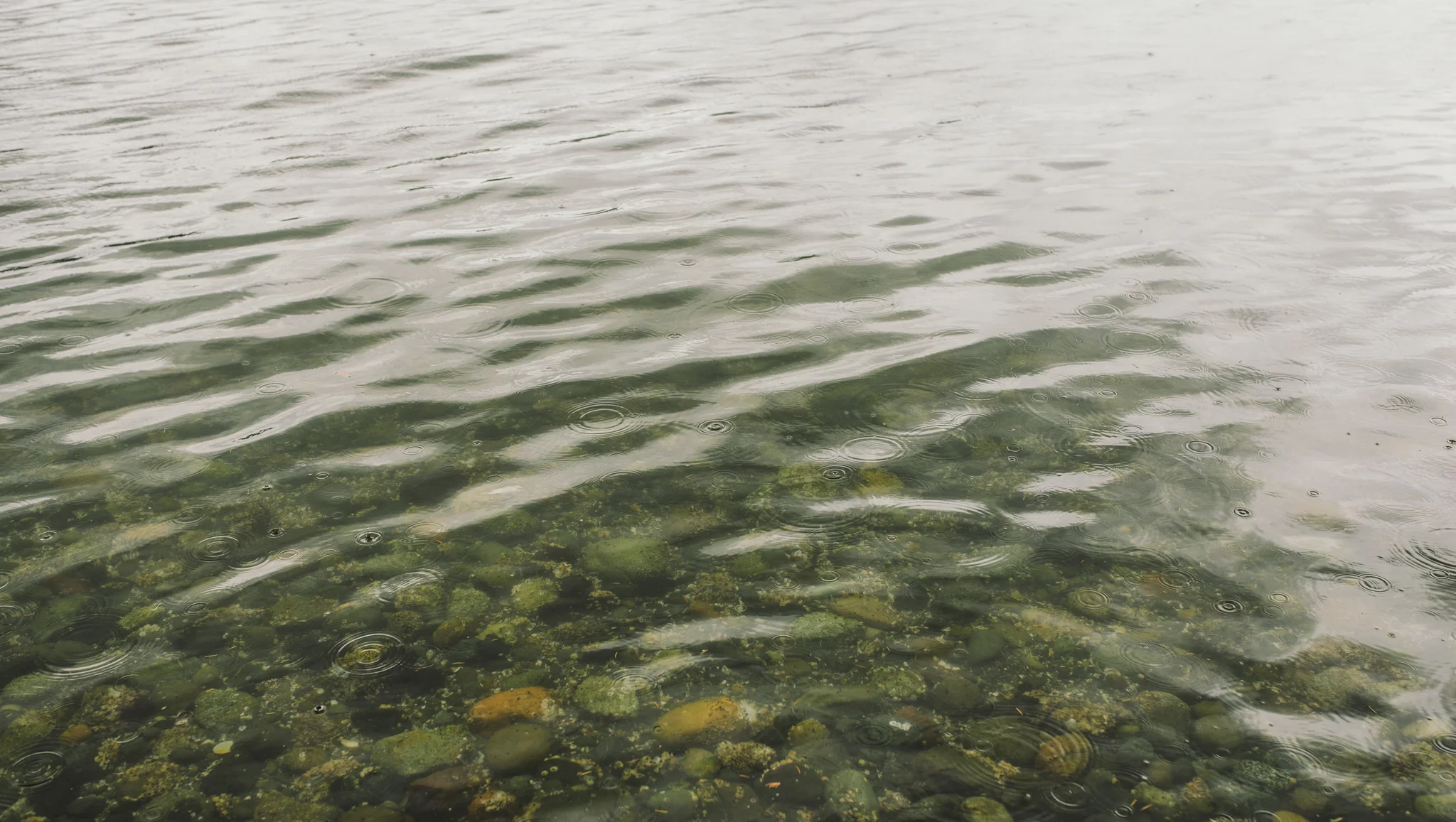 The Ryans Photography - Washington Drizzling Camping Adventure-014.jpg