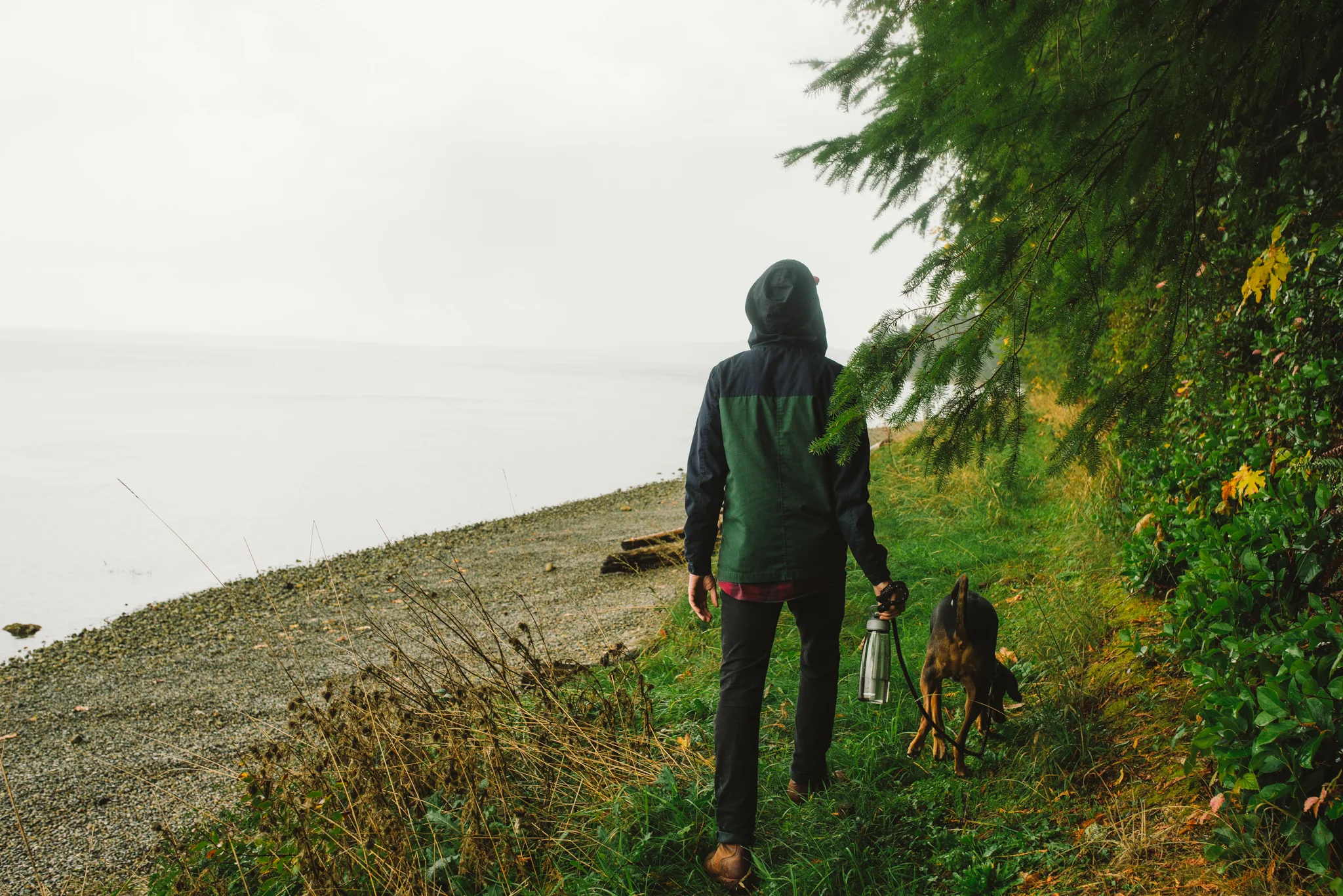 Misty Morning Camping, Washington