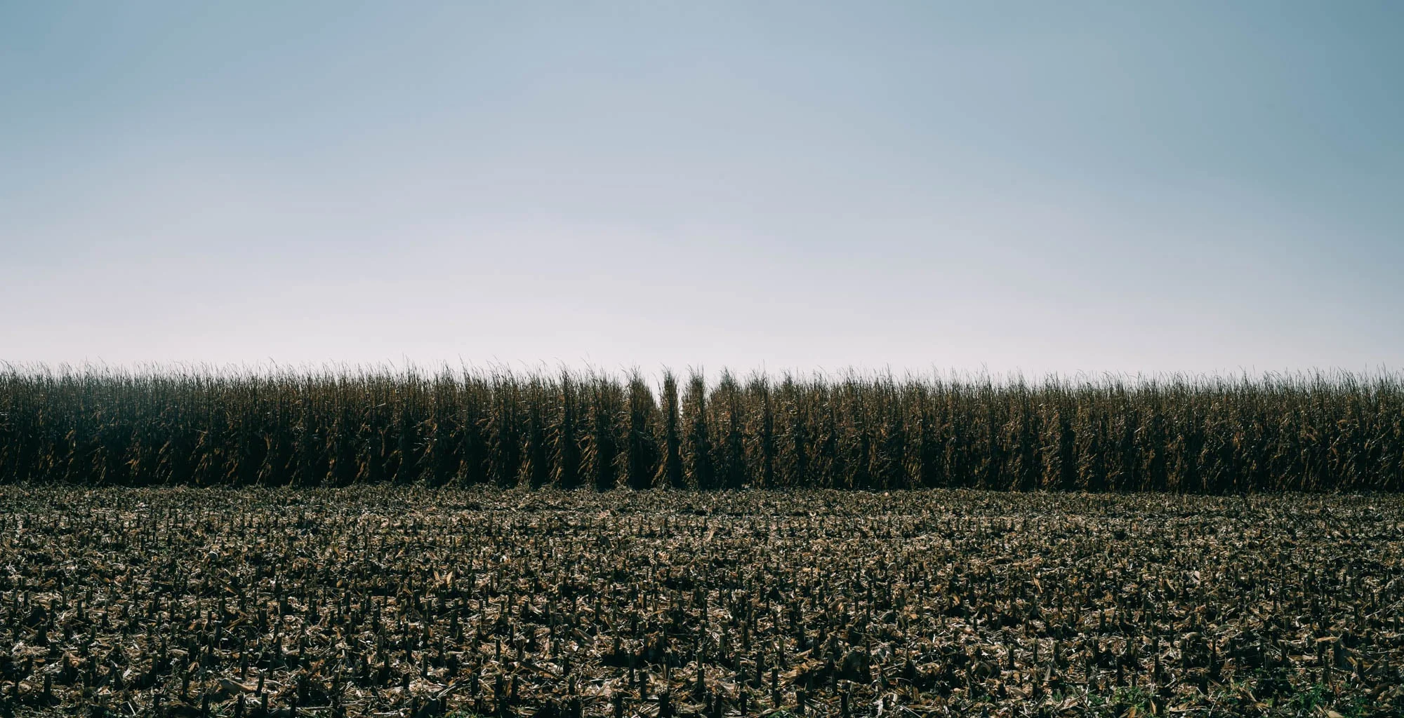 ©The Ryans Photography - Iowa-372.jpg