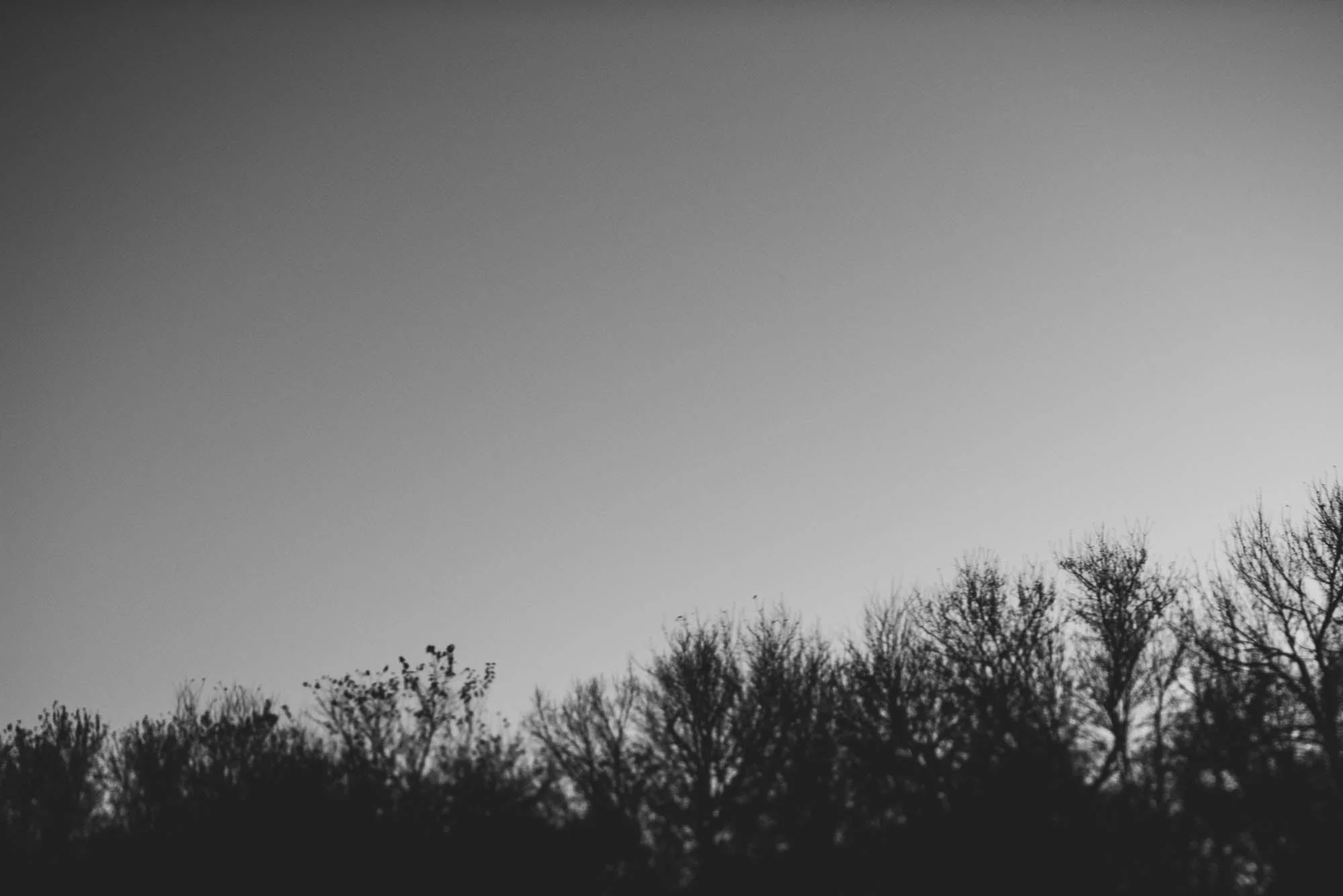 ©The Ryans Photography - Iowa-385.jpg