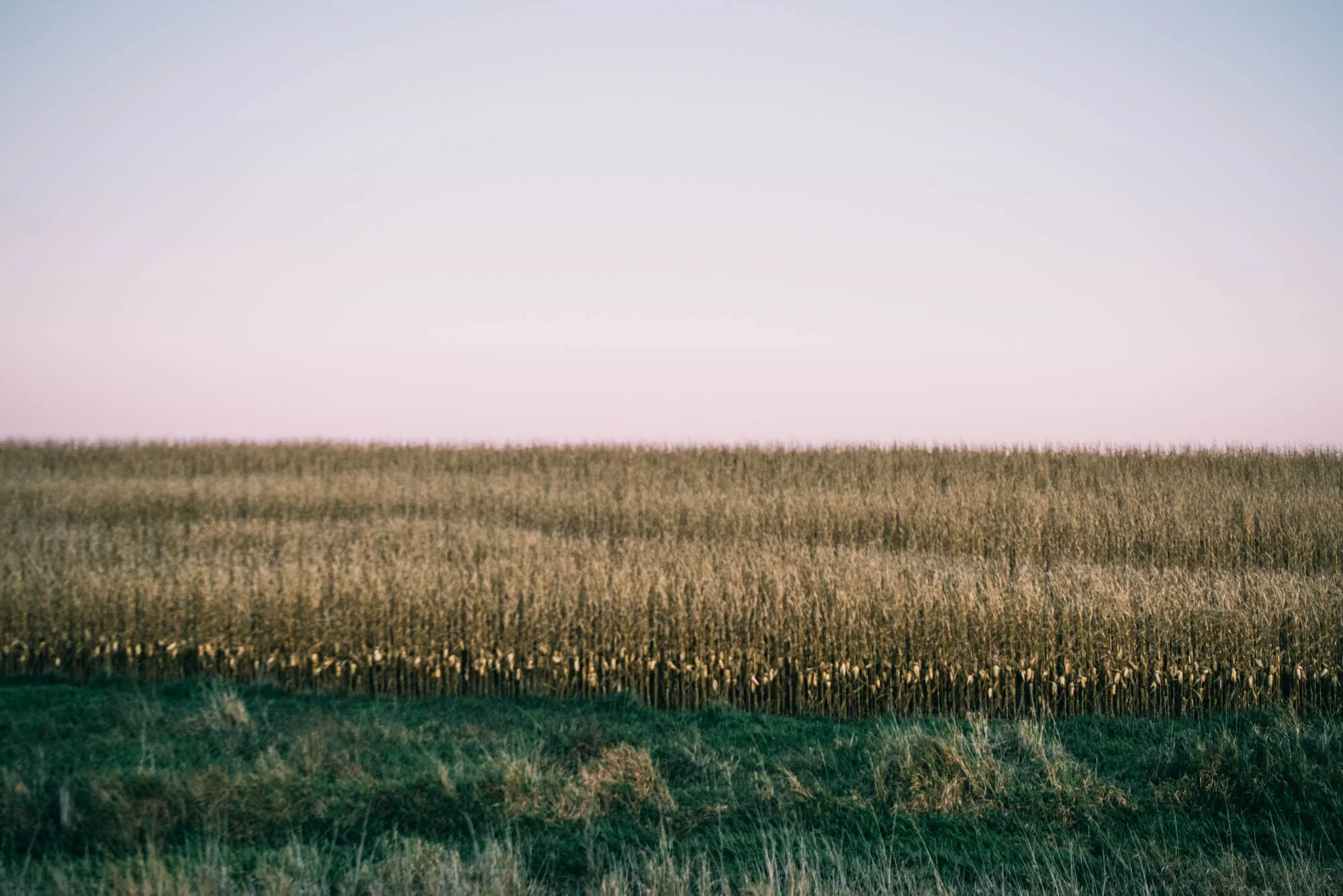 ©The Ryans Photography - Iowa-387.jpg
