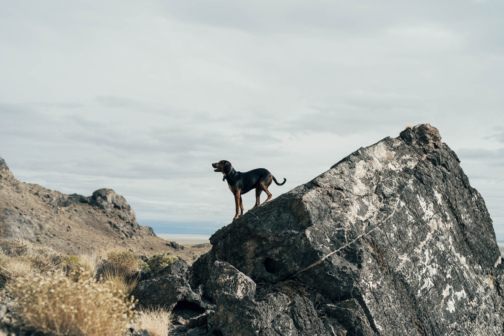 ©The Ryans Photography - Silver Island Mountains, Utah-10.jpg