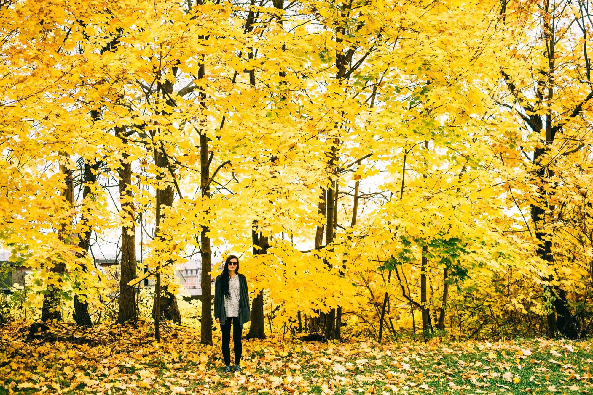 ©The Ryans Photography - State of New York-56.jpg