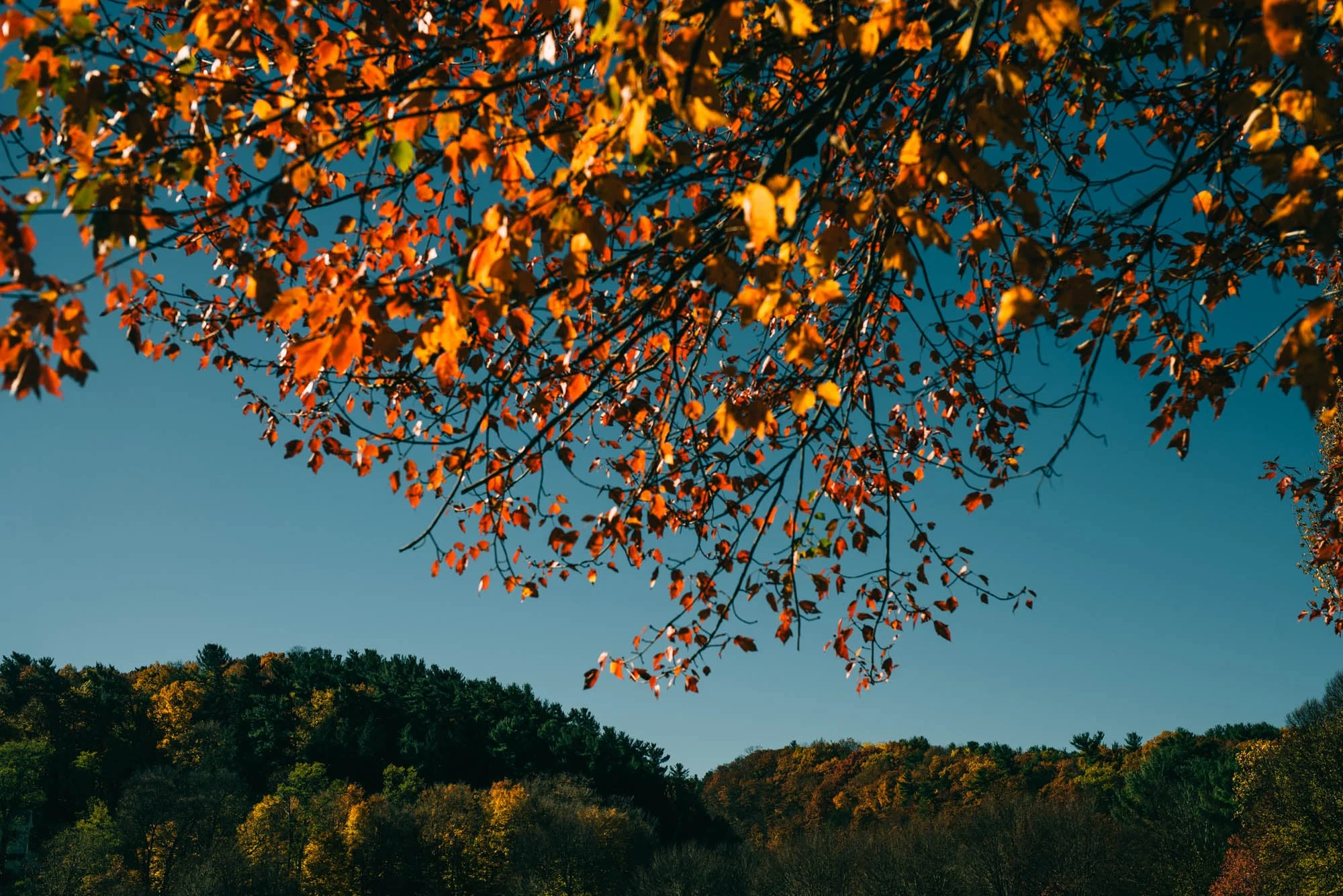 ©The Ryans Photography - State of New York-55.jpg