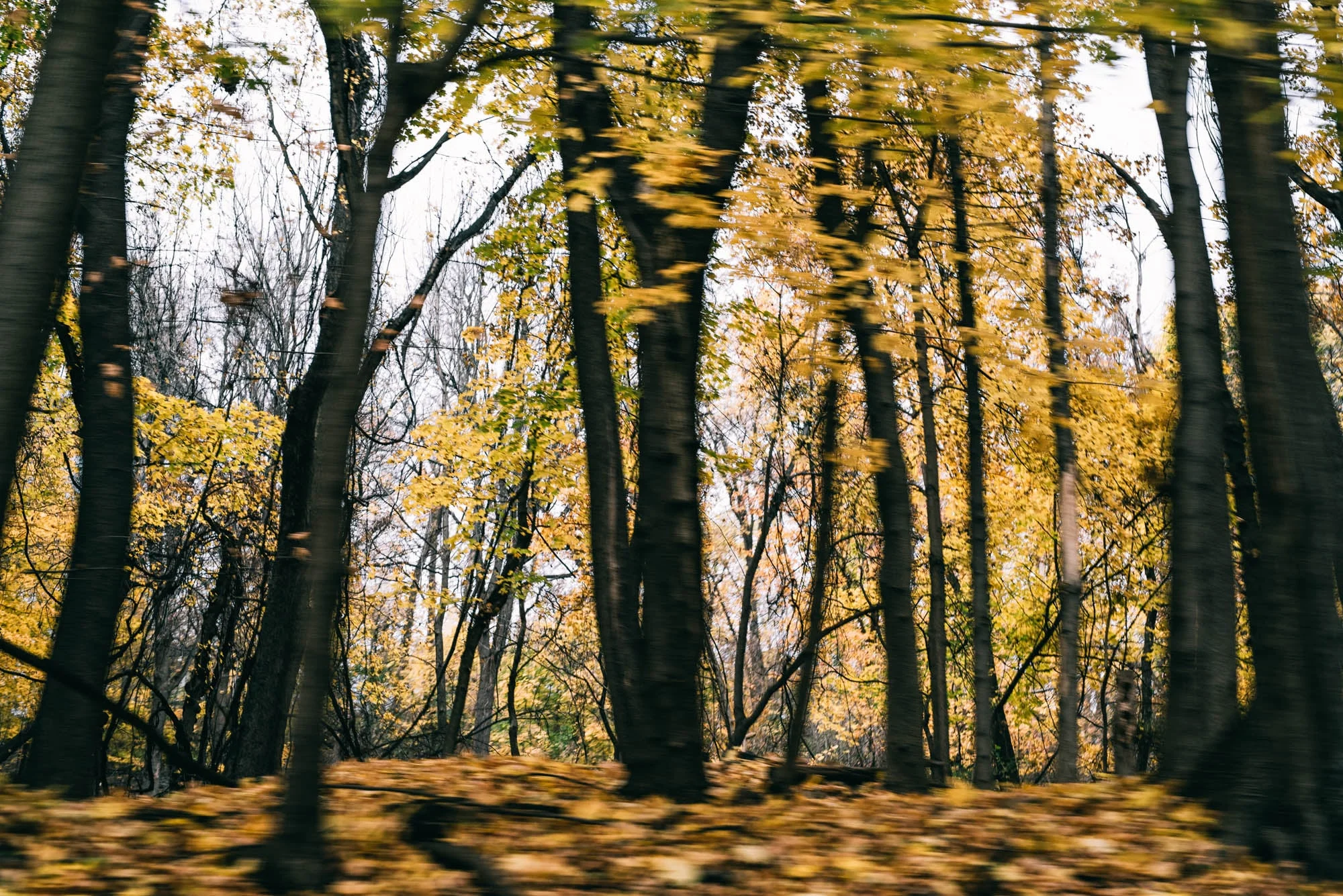 ©The Ryans Photography - State of New York-63.jpg