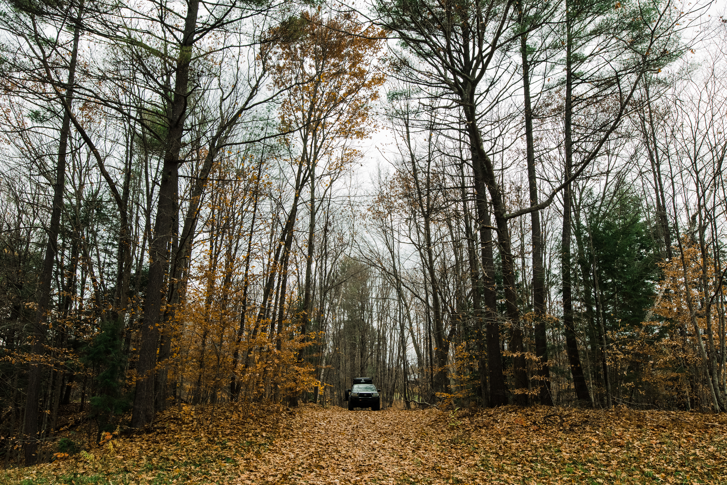 ©The Ryans Photography - White Mountain, New Hampshire Adventure-009.jpg