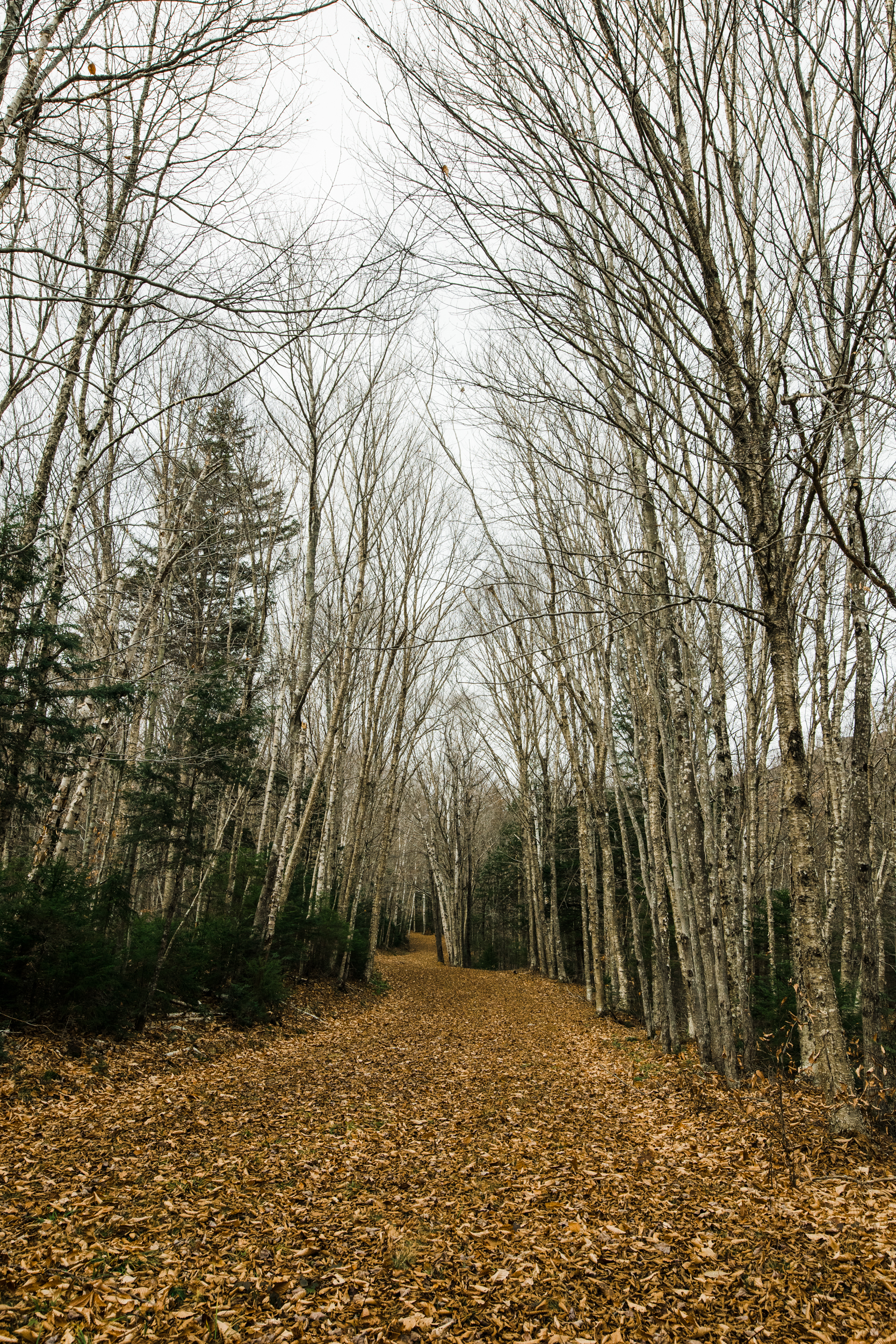 ©The Ryans Photography - White Mountain, New Hampshire Adventure-019.jpg