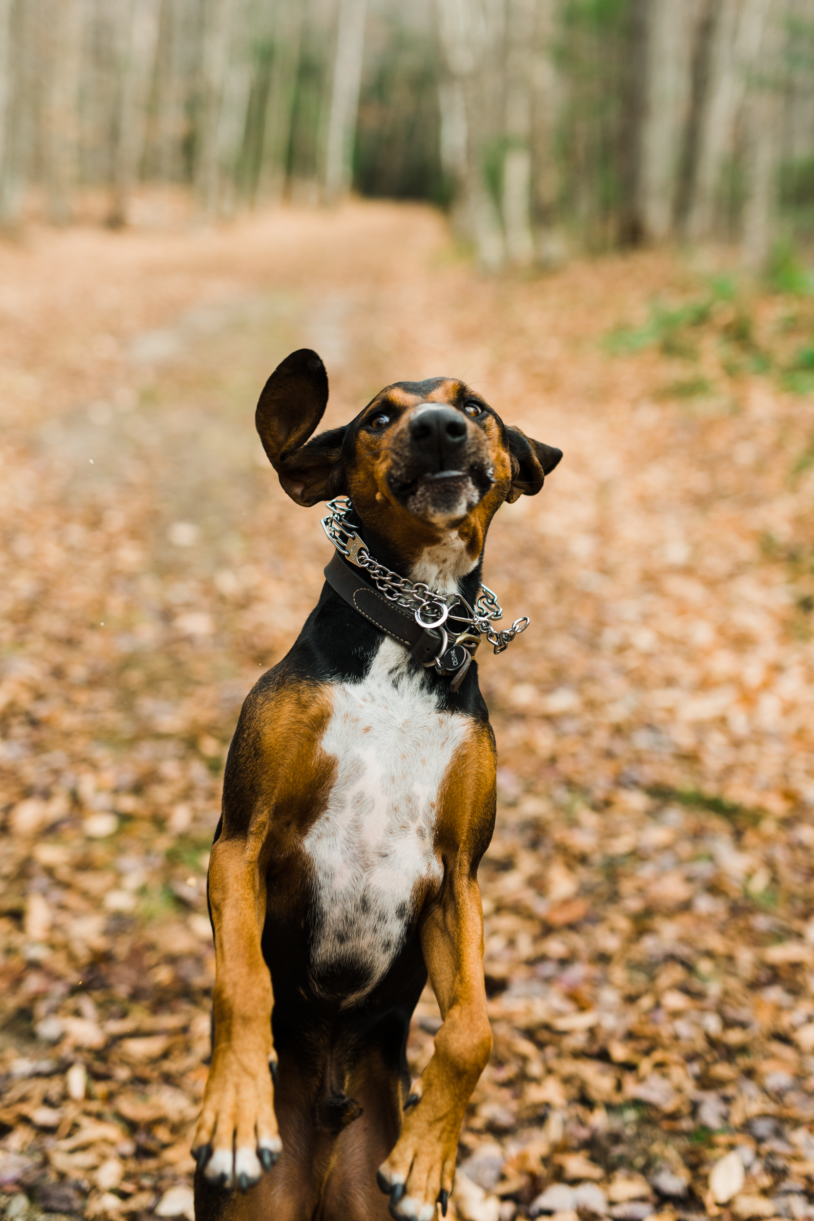 ©The Ryans Photography - White Mountain, New Hampshire Adventure-021.jpg