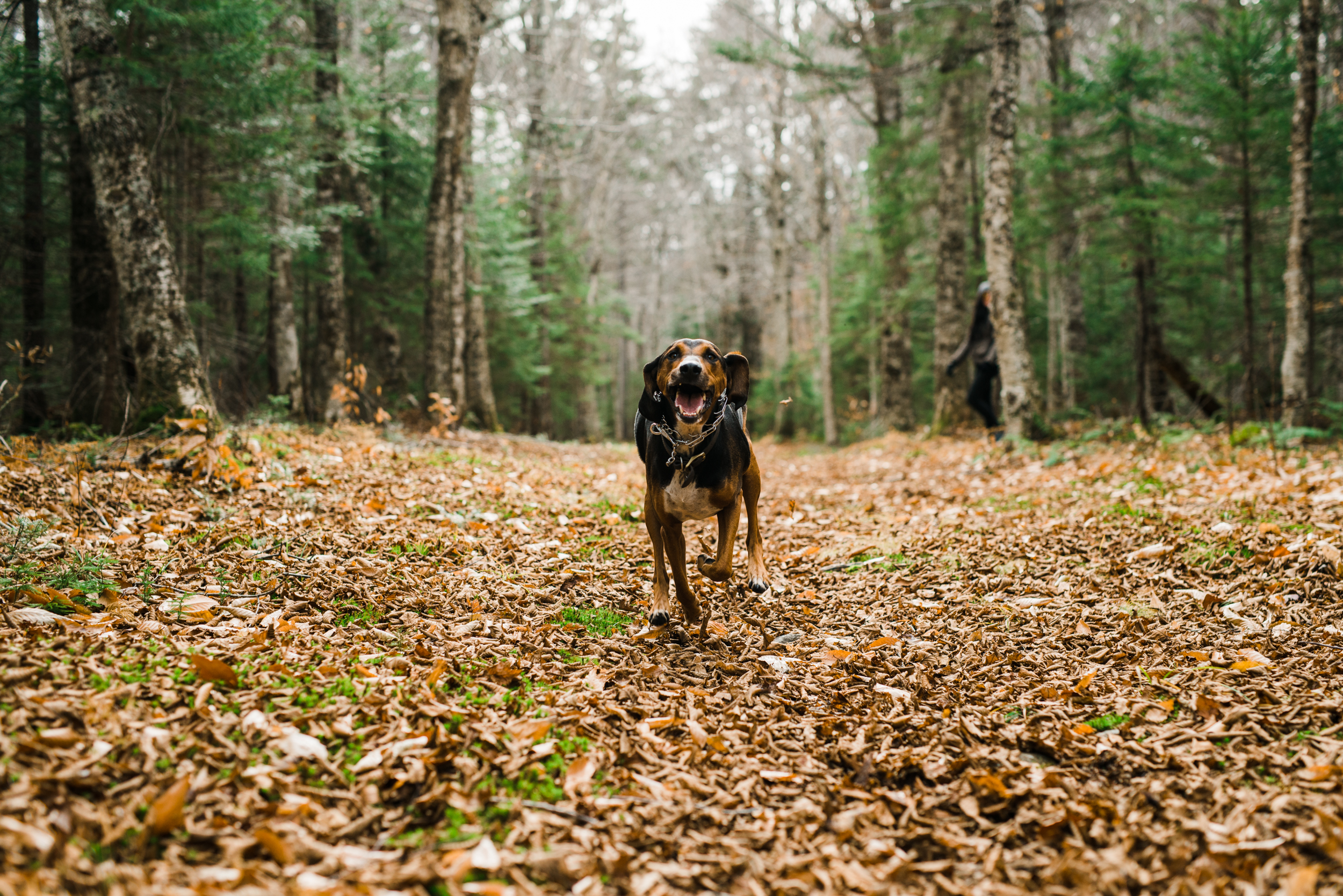 ©The Ryans Photography - White Mountain, New Hampshire Adventure-024.jpg