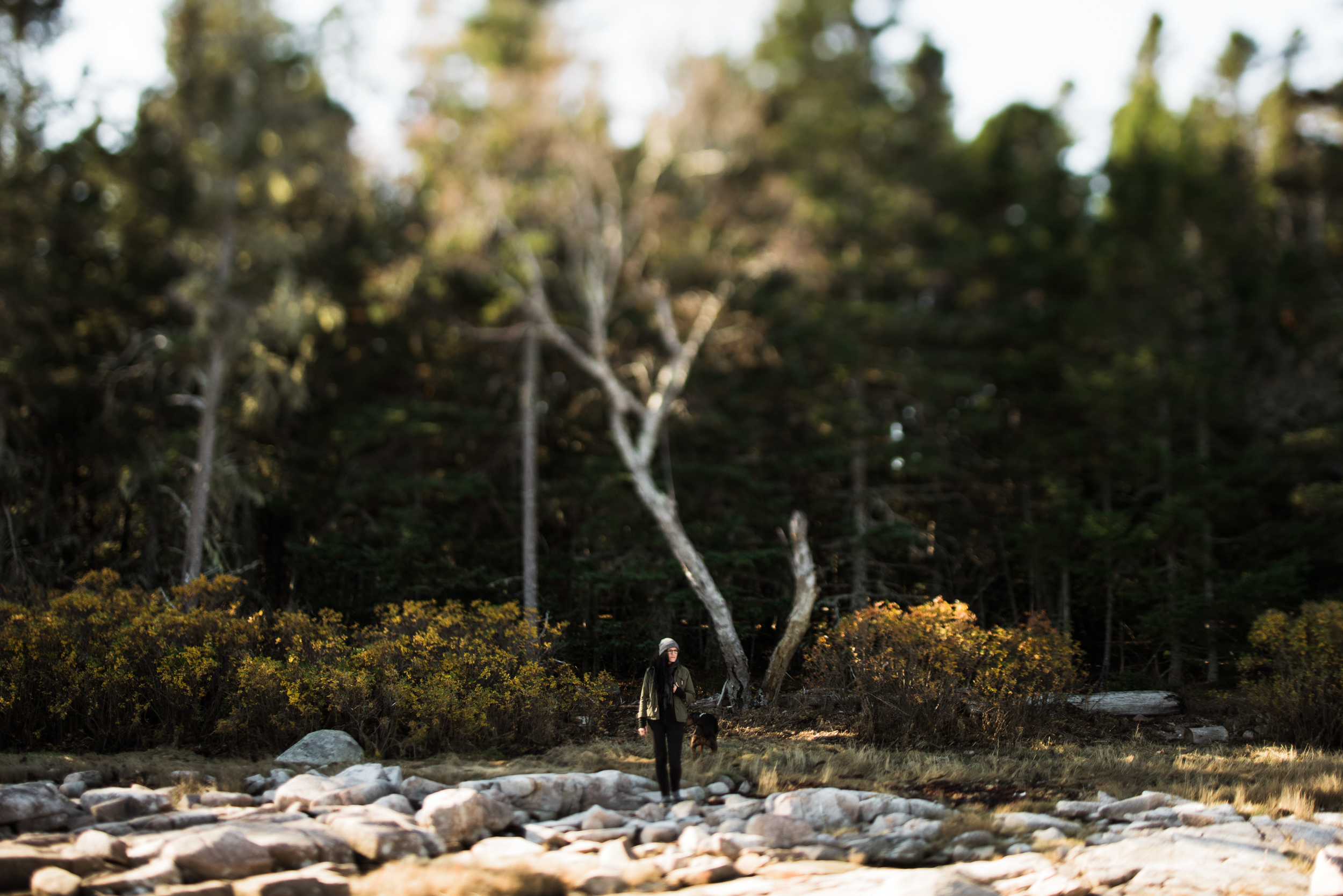 ©The Ryans Photography - Acadia, Maine-020.jpg