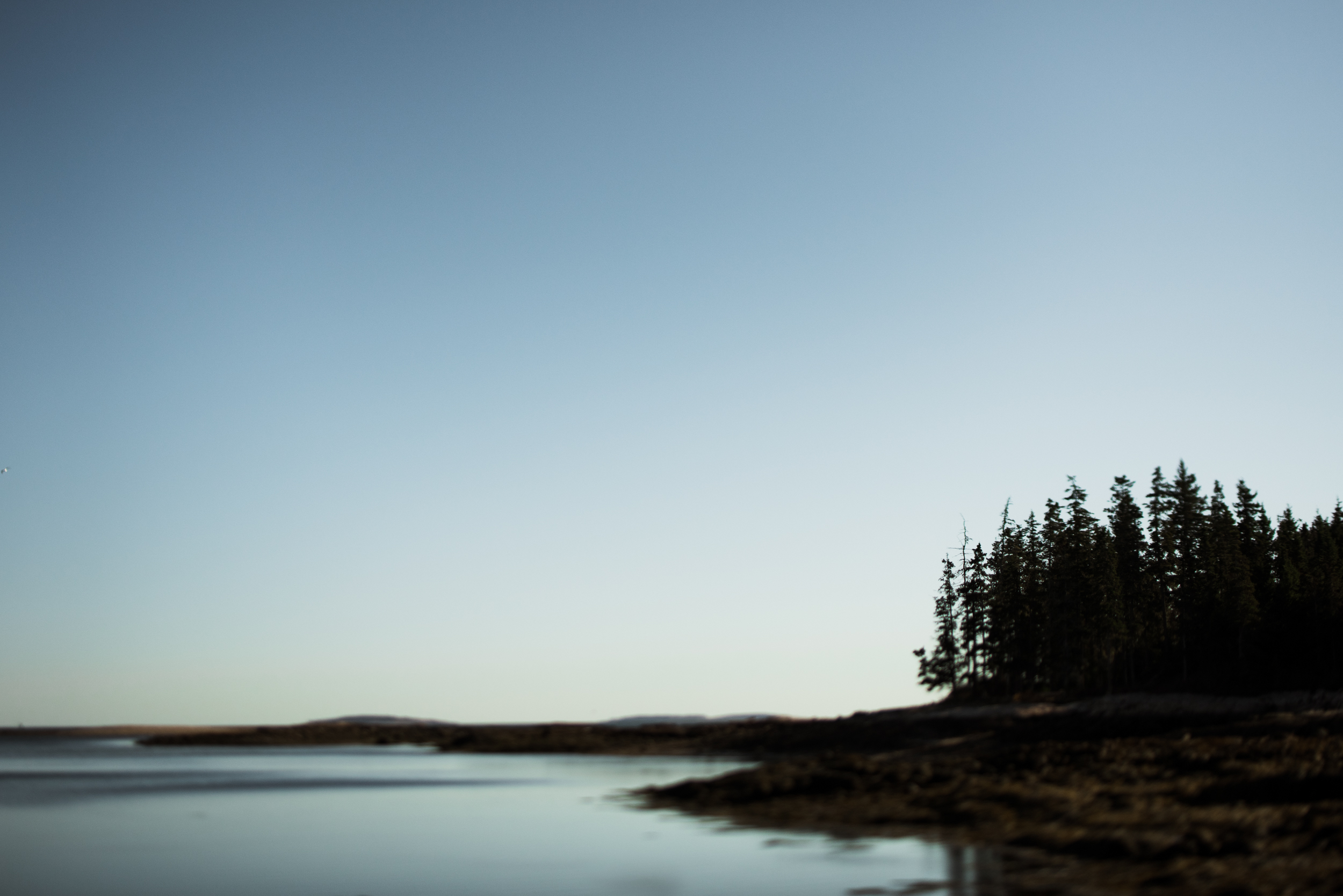 ©The Ryans Photography - Acadia, Maine-022.jpg