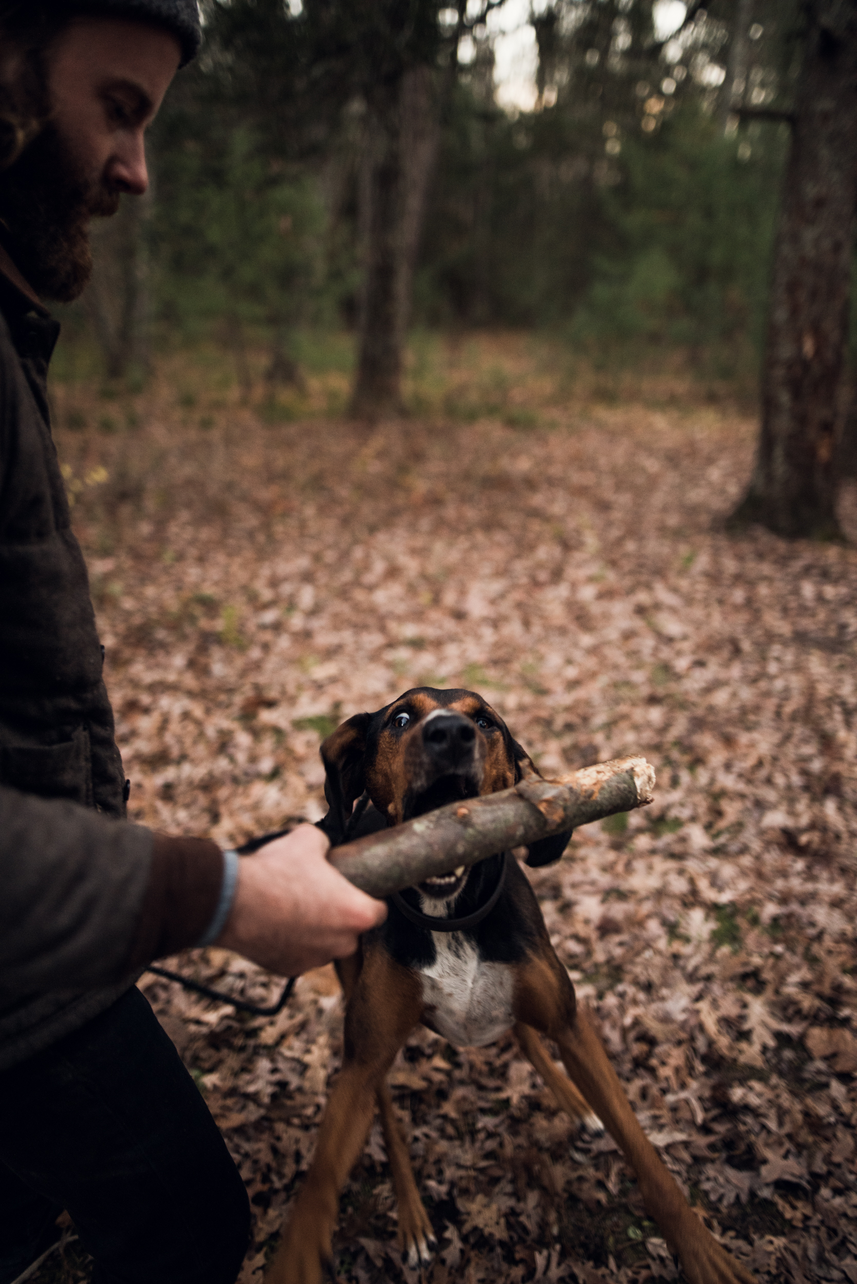 ©The Ryans Photography - Conneticut Camping Autumn-027.jpg