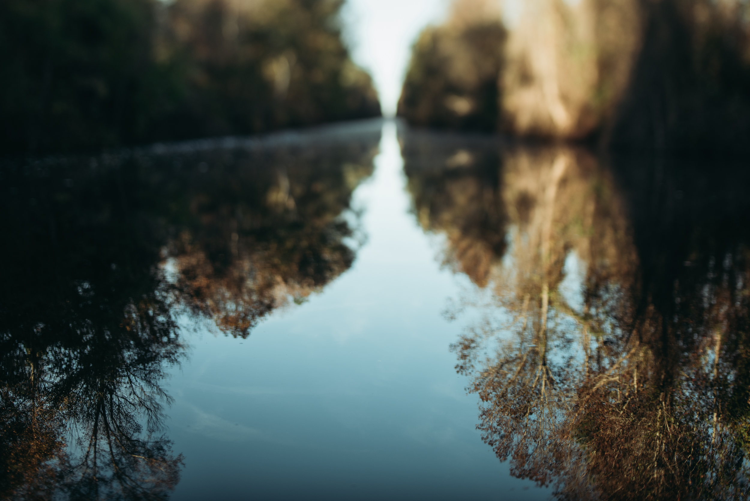 ©The Ryans Photography - North Carolina Swamp-007.jpg