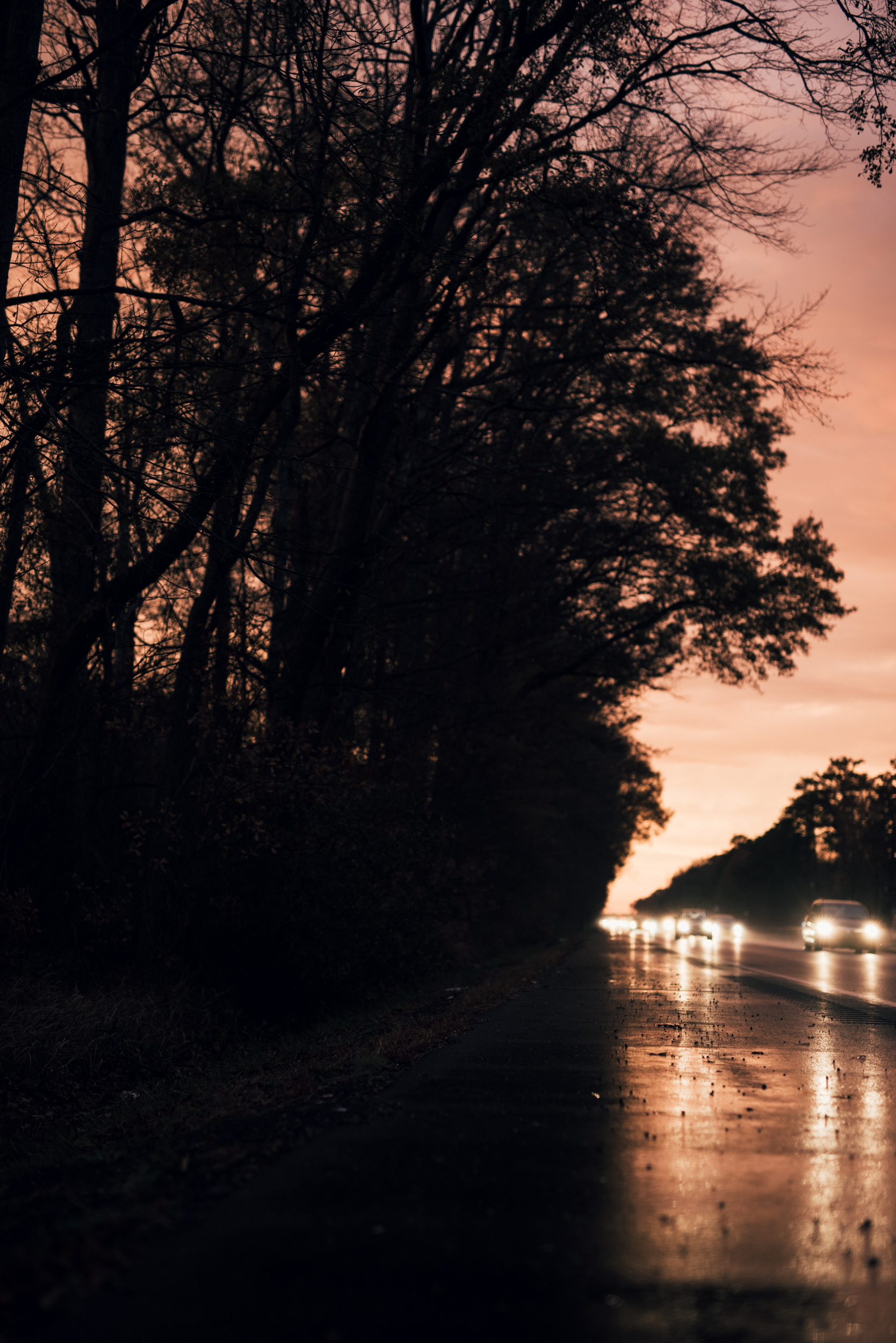 ©The Ryans Photography - Assateague Island-033.jpg