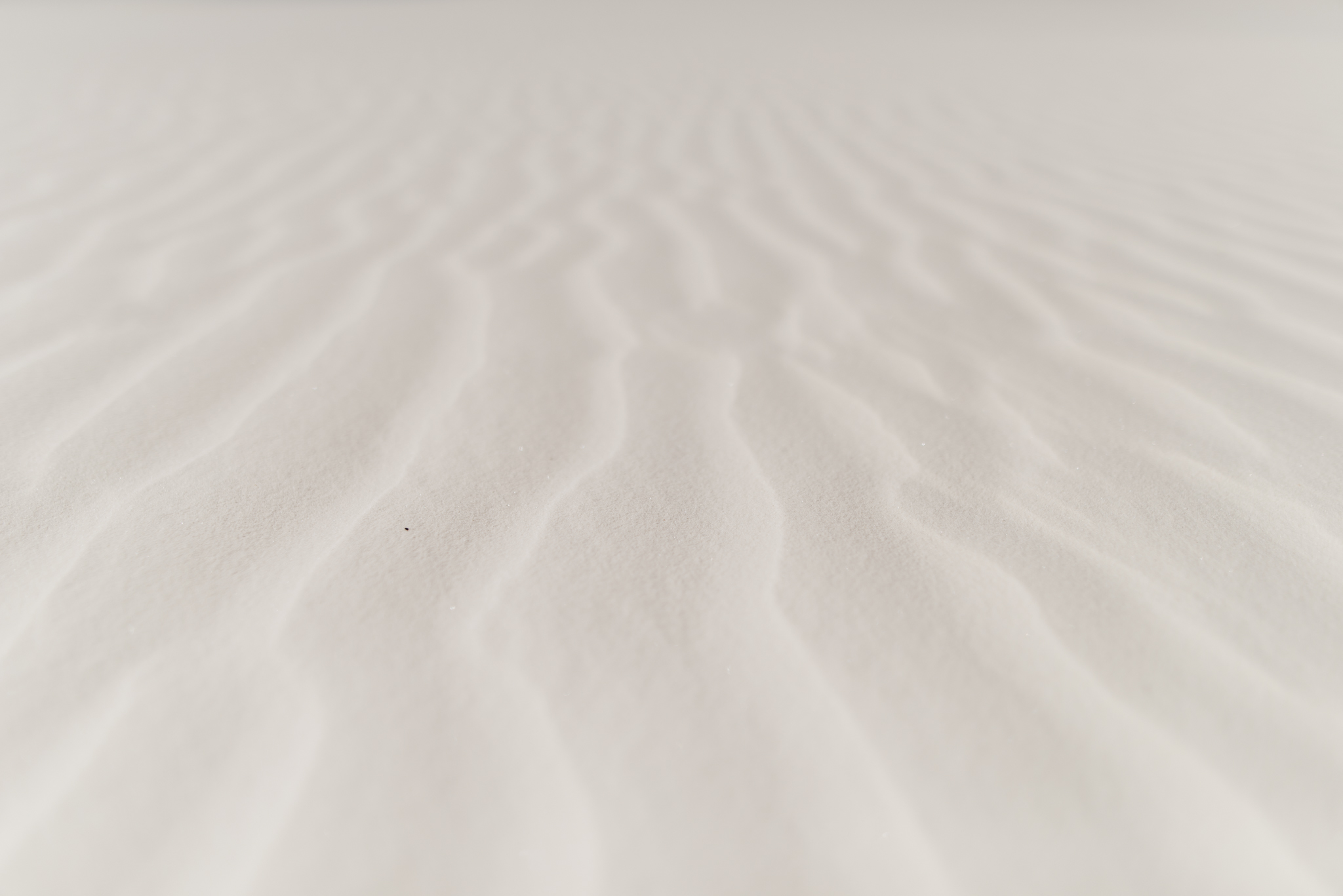 ©The-Ryans-Photography---White-Sands-National-Monument,-New-Mexico-Travel-035.jpg