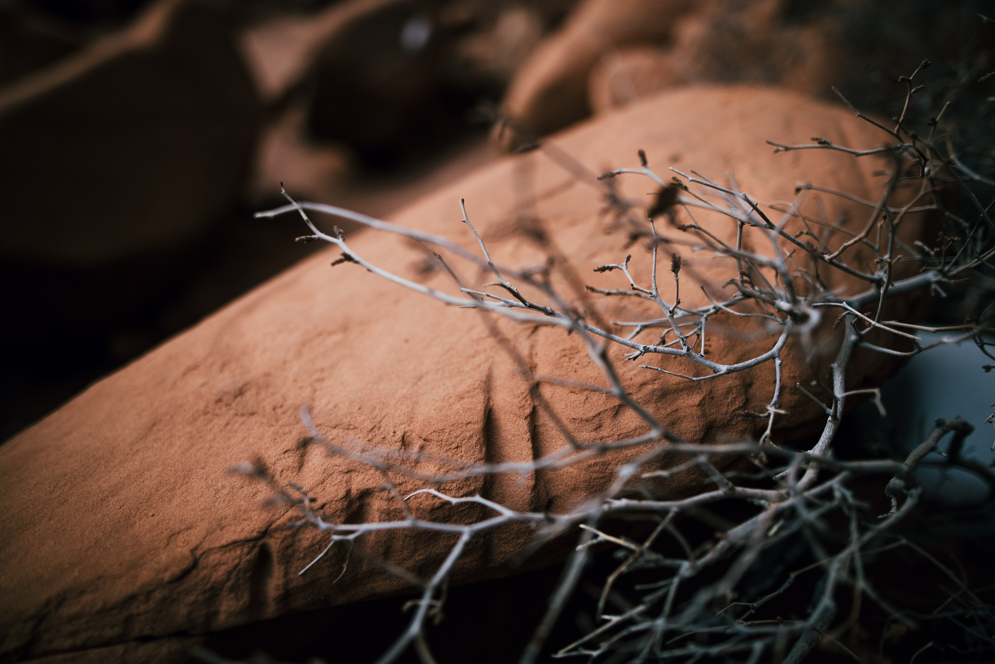 ©The-Ryans-Photography---Arches-National-Park-Moab-Utah-Travel-020.jpg